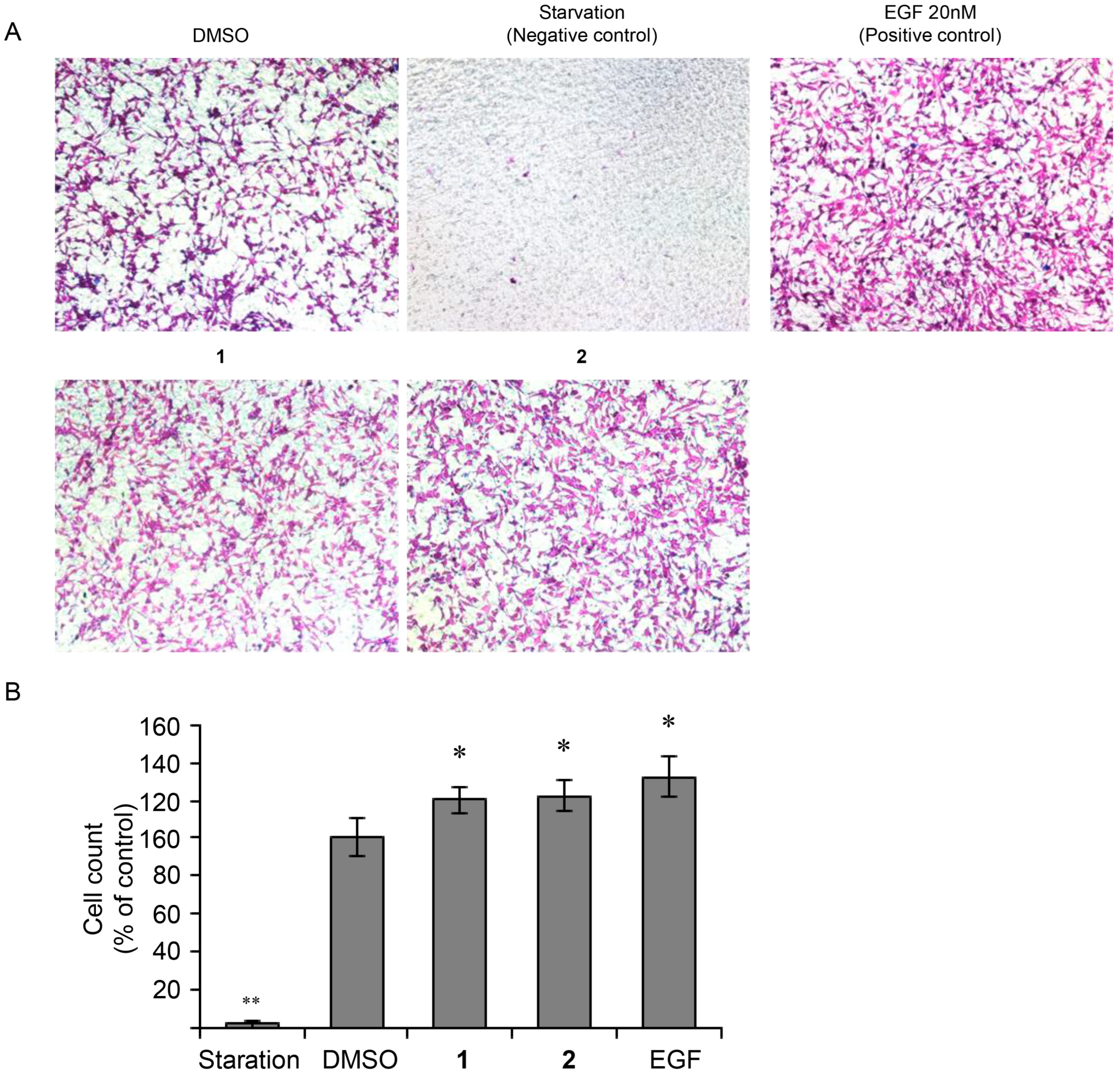 Nutrients 17 02584 g006 Nutrients 17 02584 g006