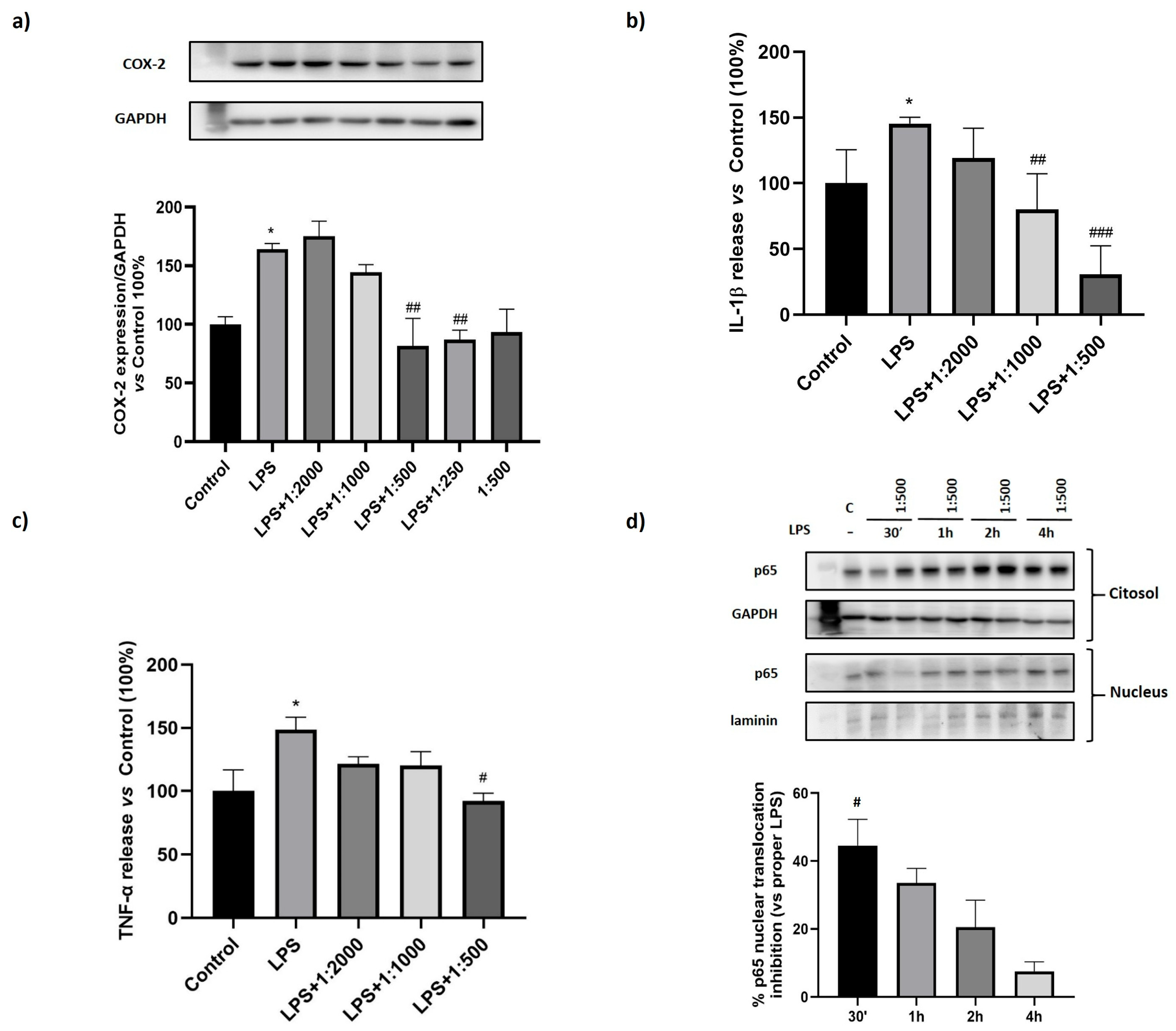 Nutrients 17 02587 g004 Nutrients 17 02587 g004