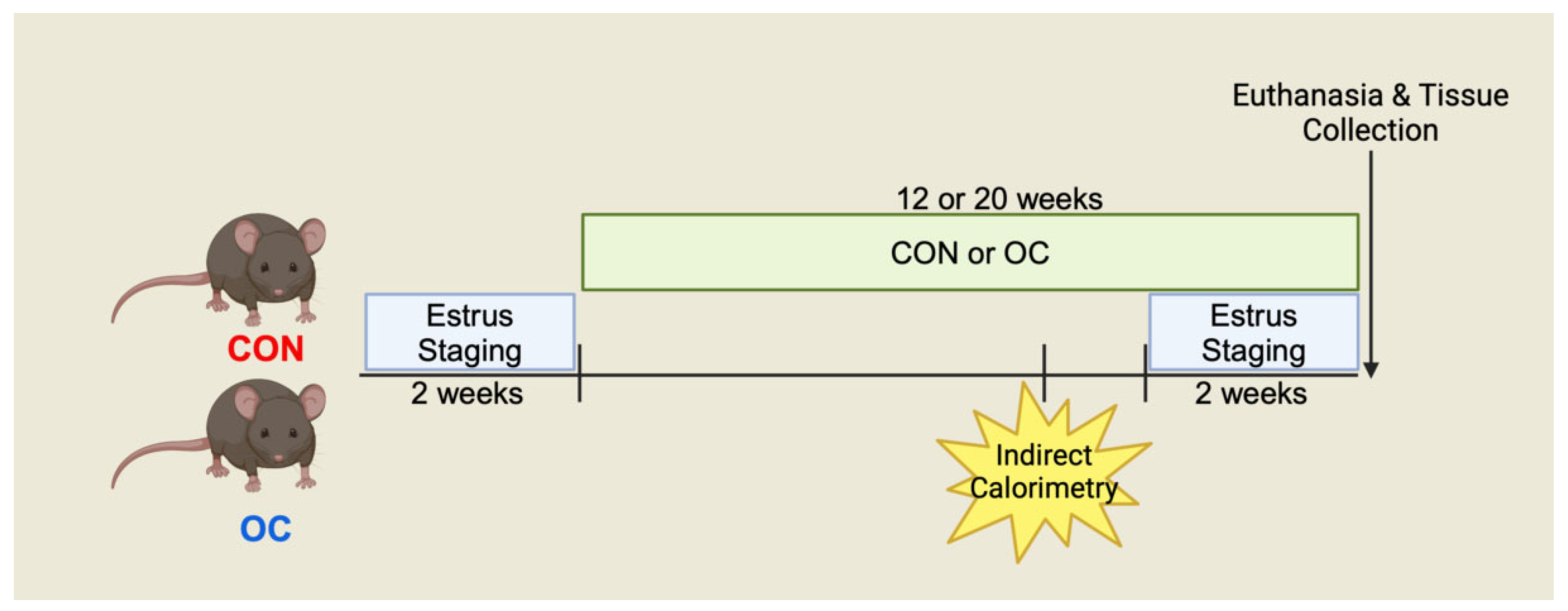 Nutrients 17 02591 g001