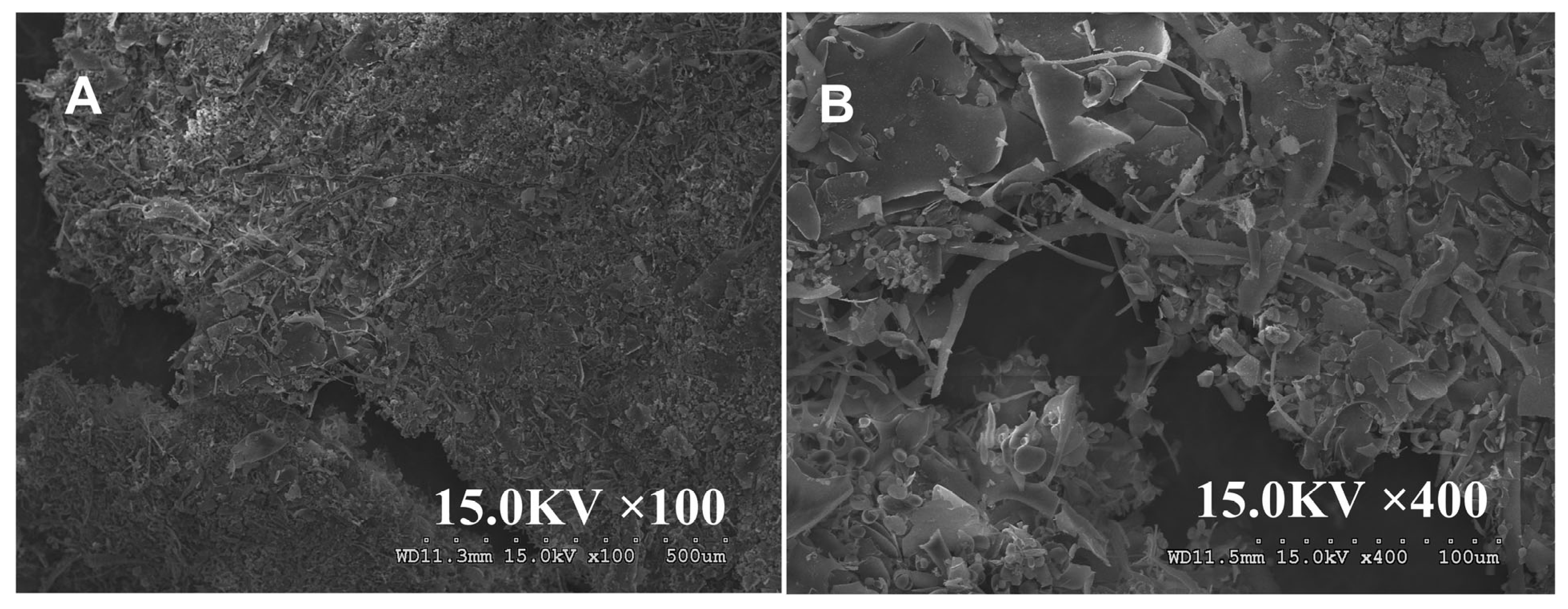 Nutrients 17 02592 g003 Nutrients 17 02592 g003