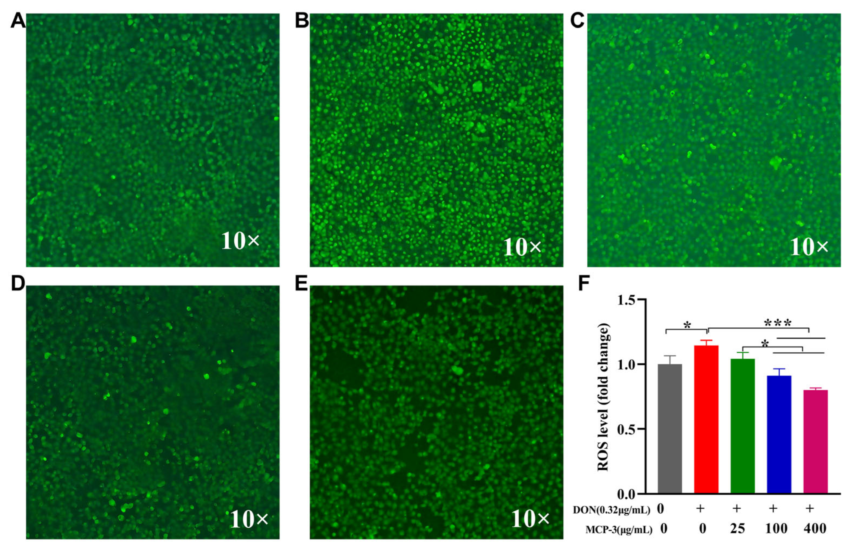 Nutrients 17 02592 g008 Nutrients 17 02592 g008