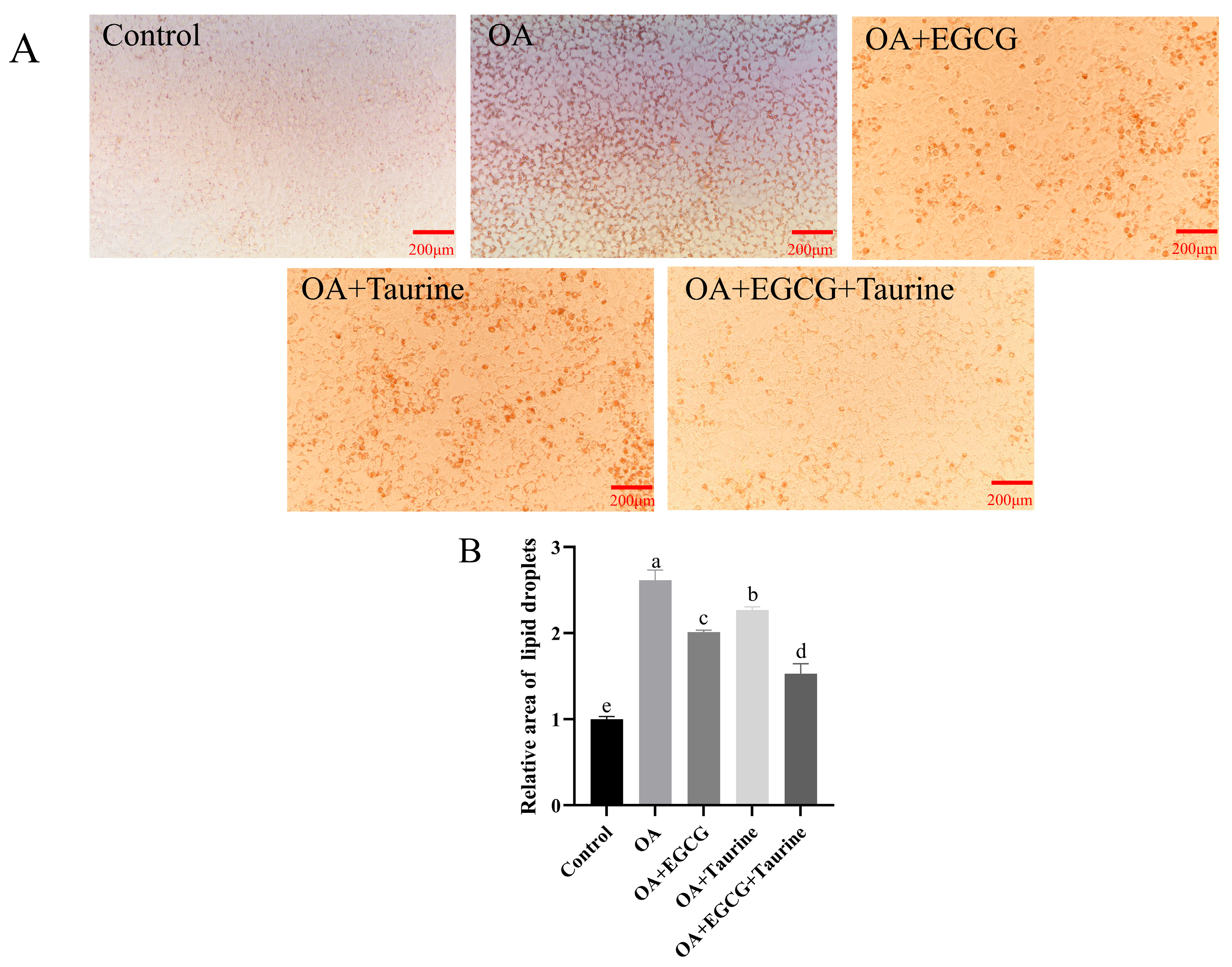 Nutrients 17 02595 g003 Nutrients 17 02595 g003
