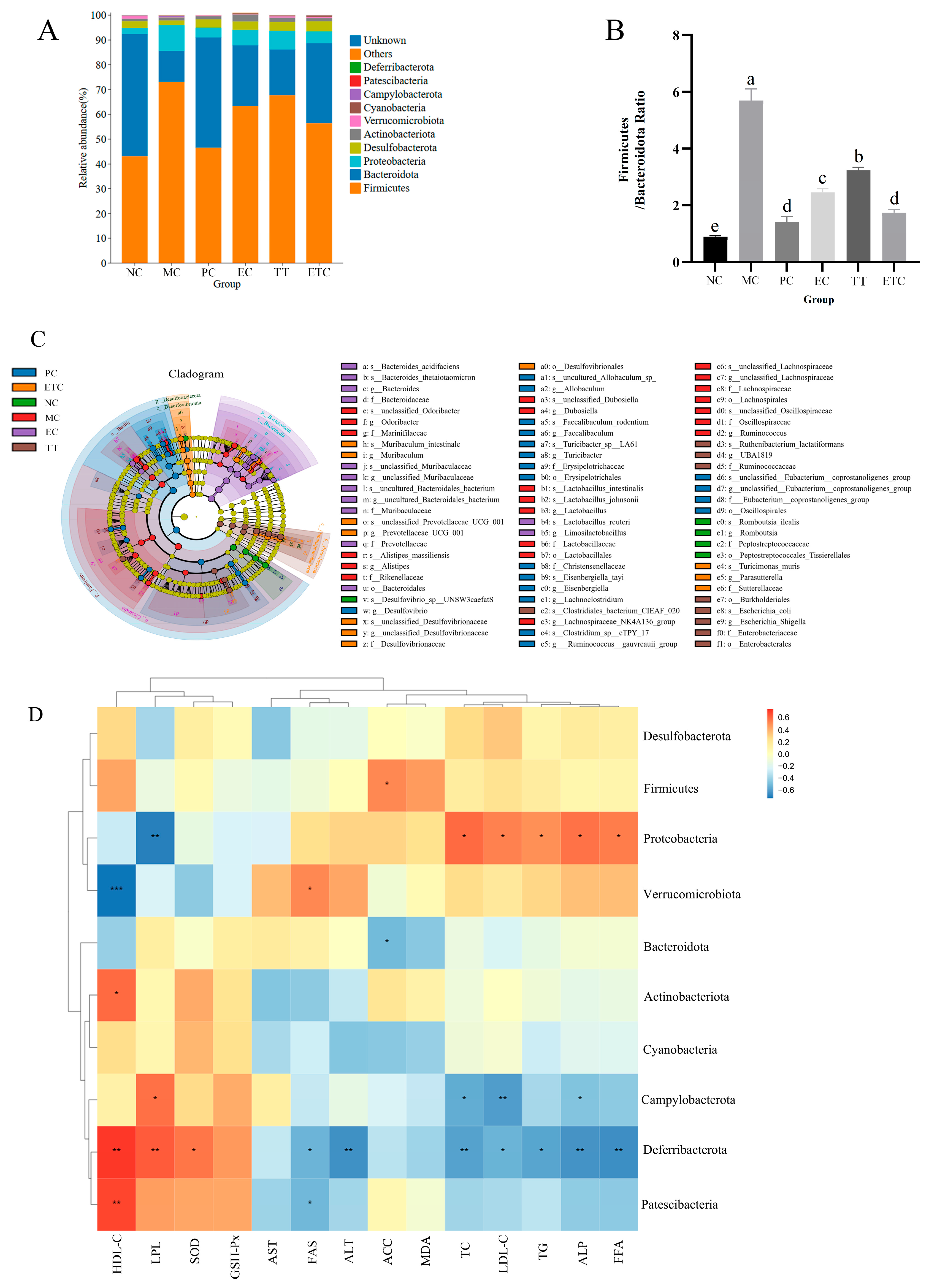 Nutrients 17 02595 g005 Nutrients 17 02595 g005