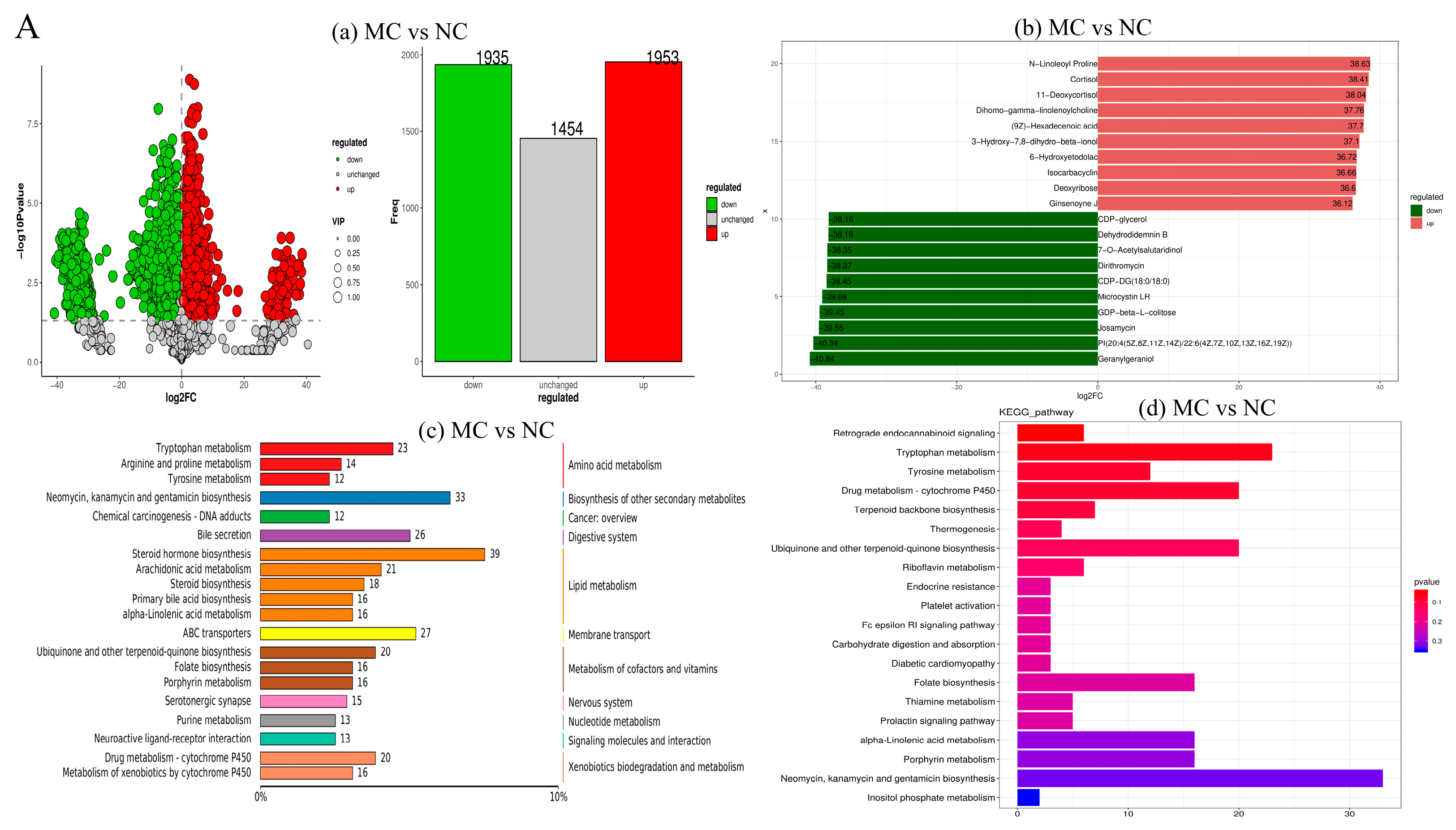 Nutrients 17 02595 g006a Nutrients 17 02595 g006a