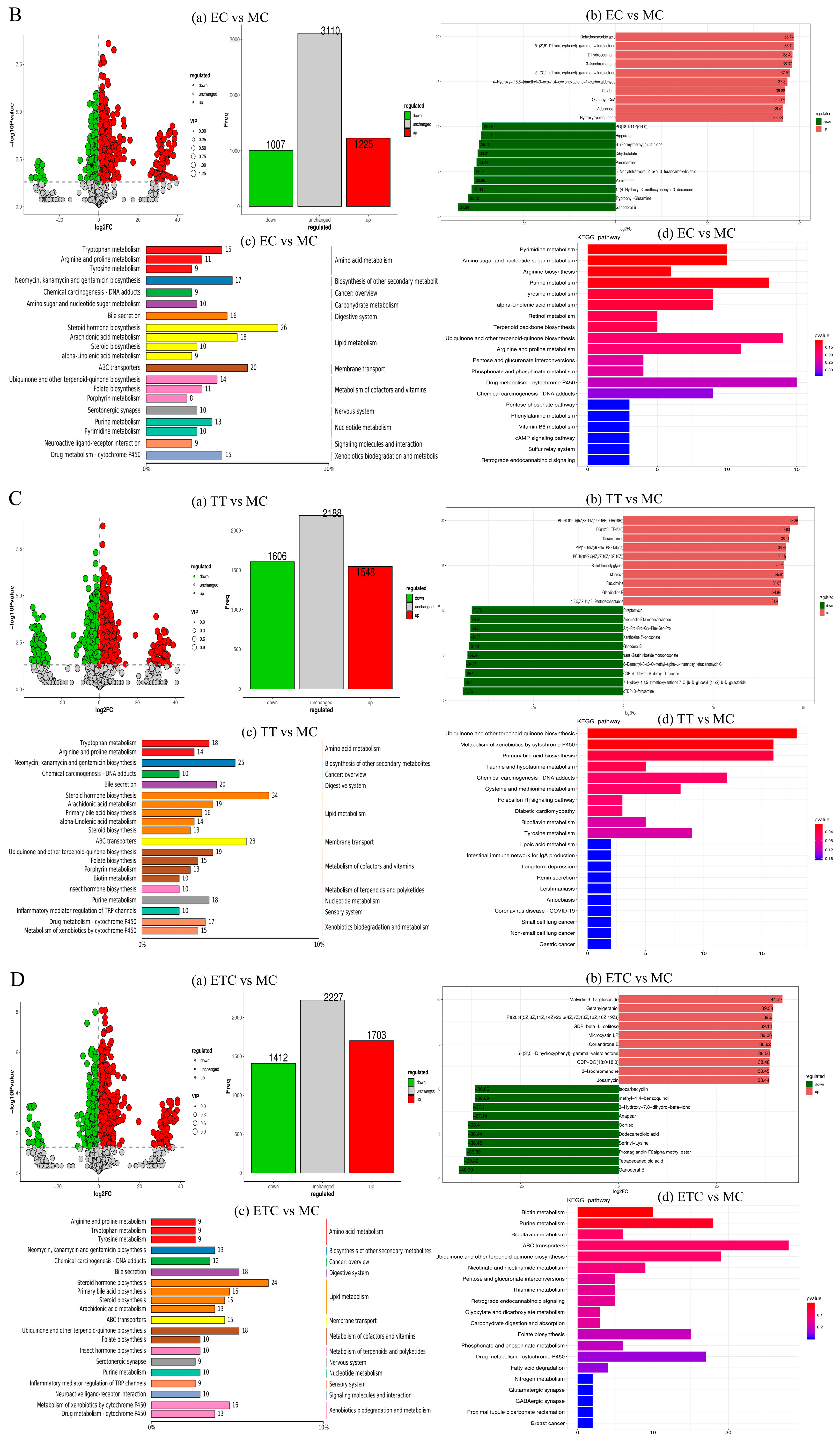 Nutrients 17 02595 g006b Nutrients 17 02595 g006b