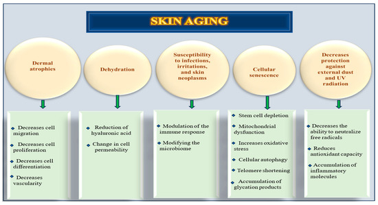 Skin Aging and Carotenoids: A Systematic Review of Their Multifaceted ...