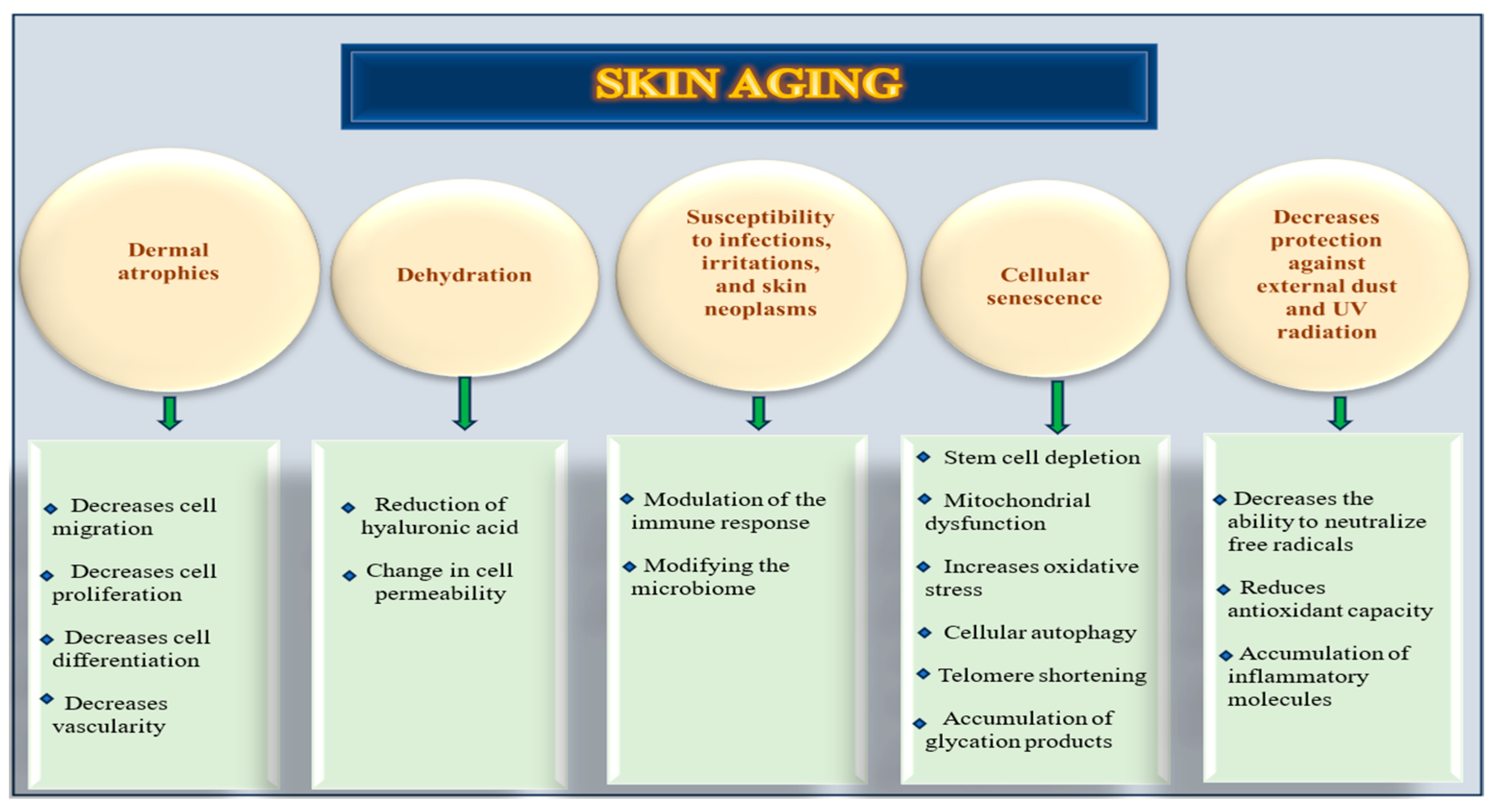 Nutrients 17 02596 g001