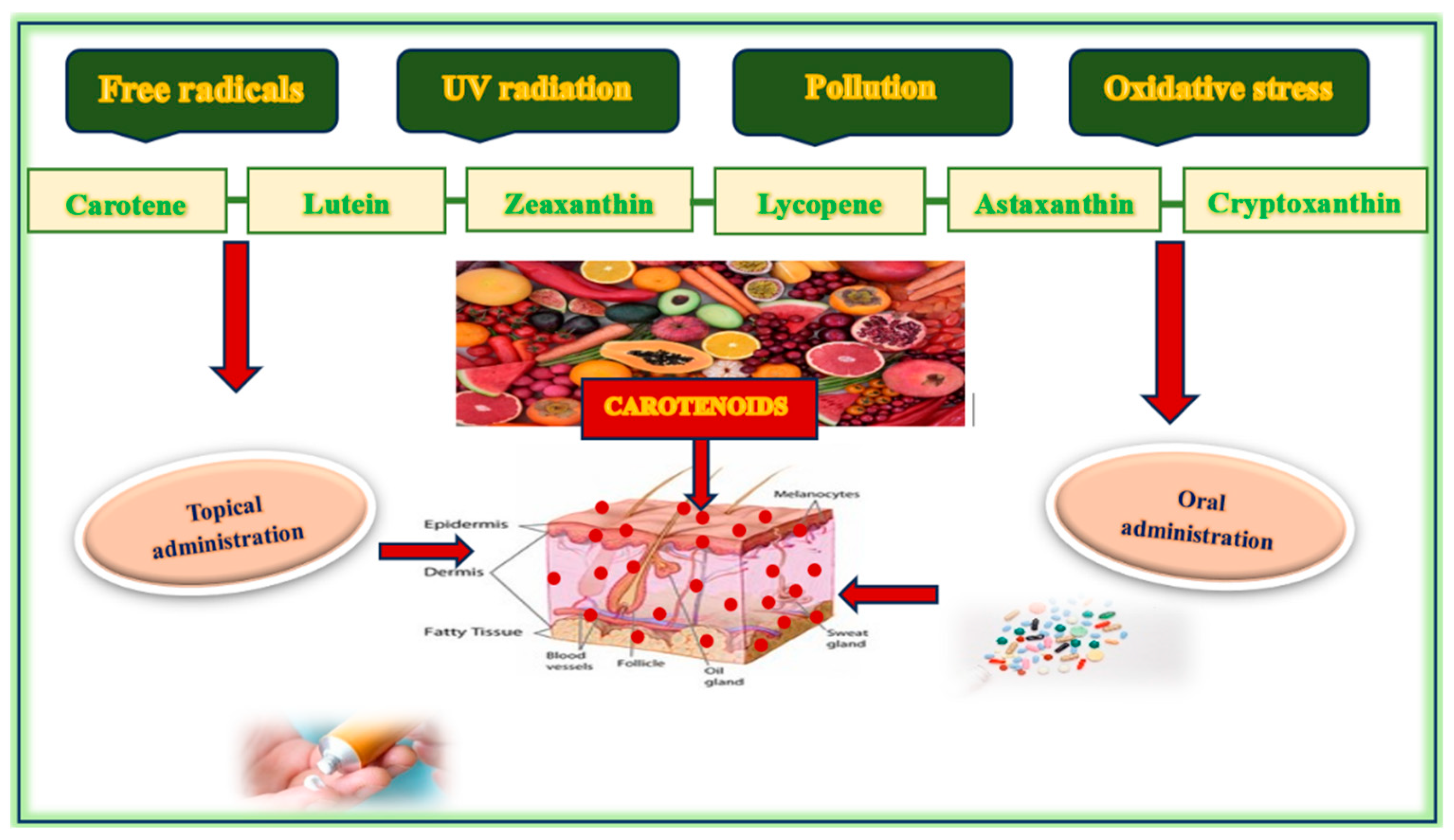 Nutrients 17 02596 g003
