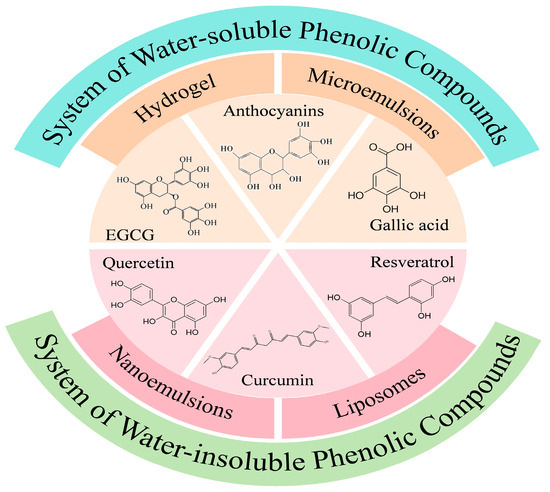 Advances in Intestinal-Targeted Release of Phenolic Compounds