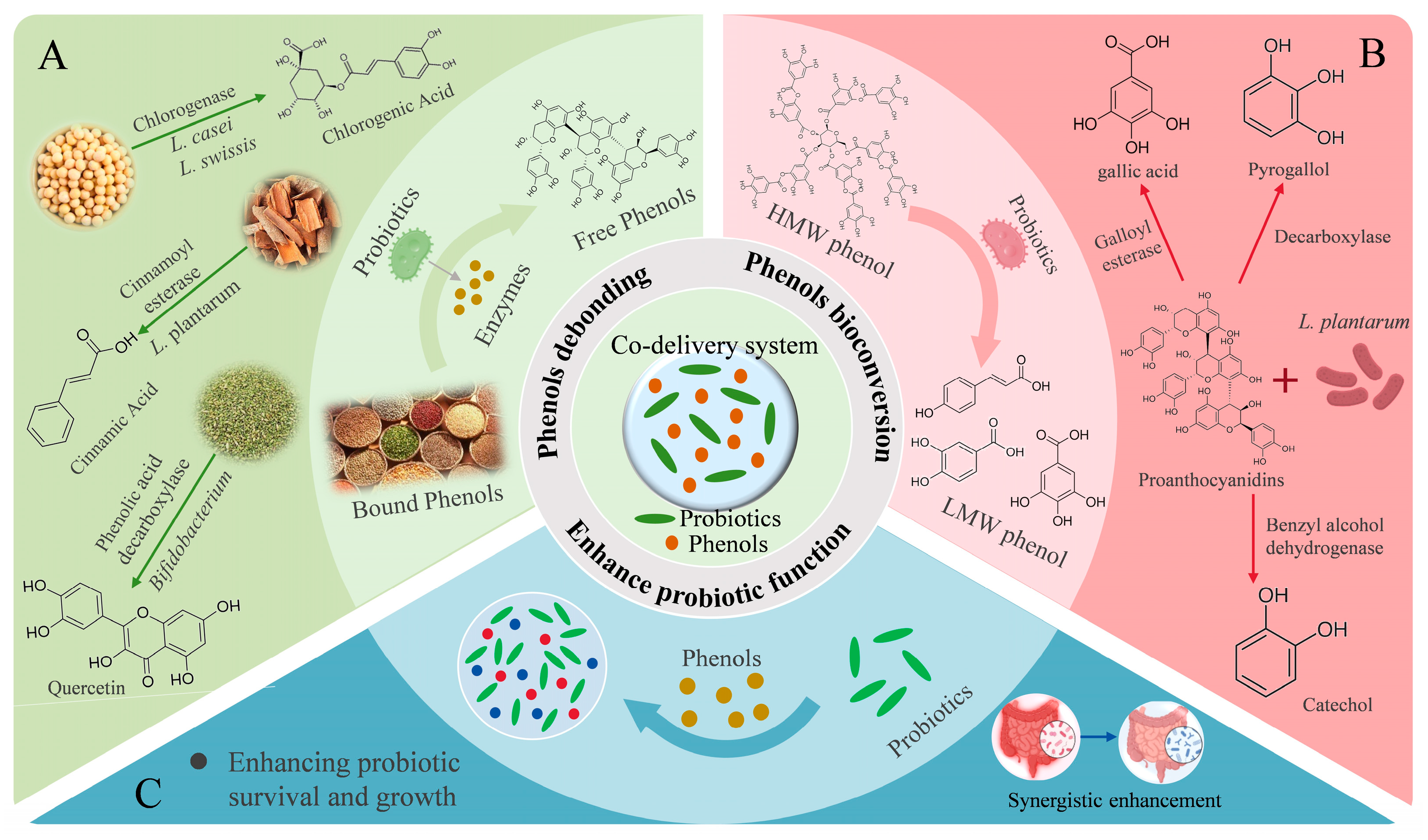 Nutrients 17 02598 g003