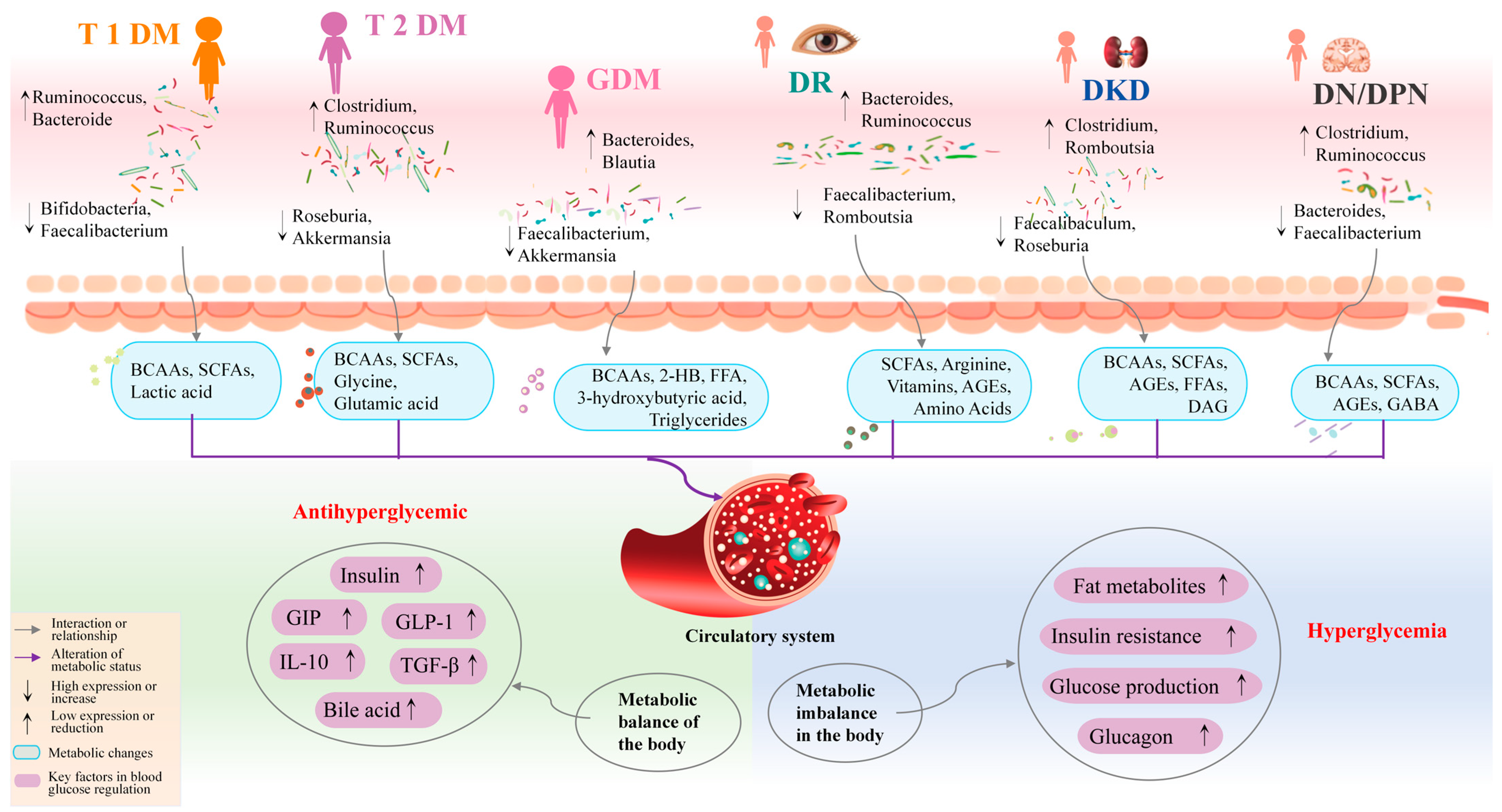 Gut Microbiota and Metabolites: Biomarkers and Therapeutic
