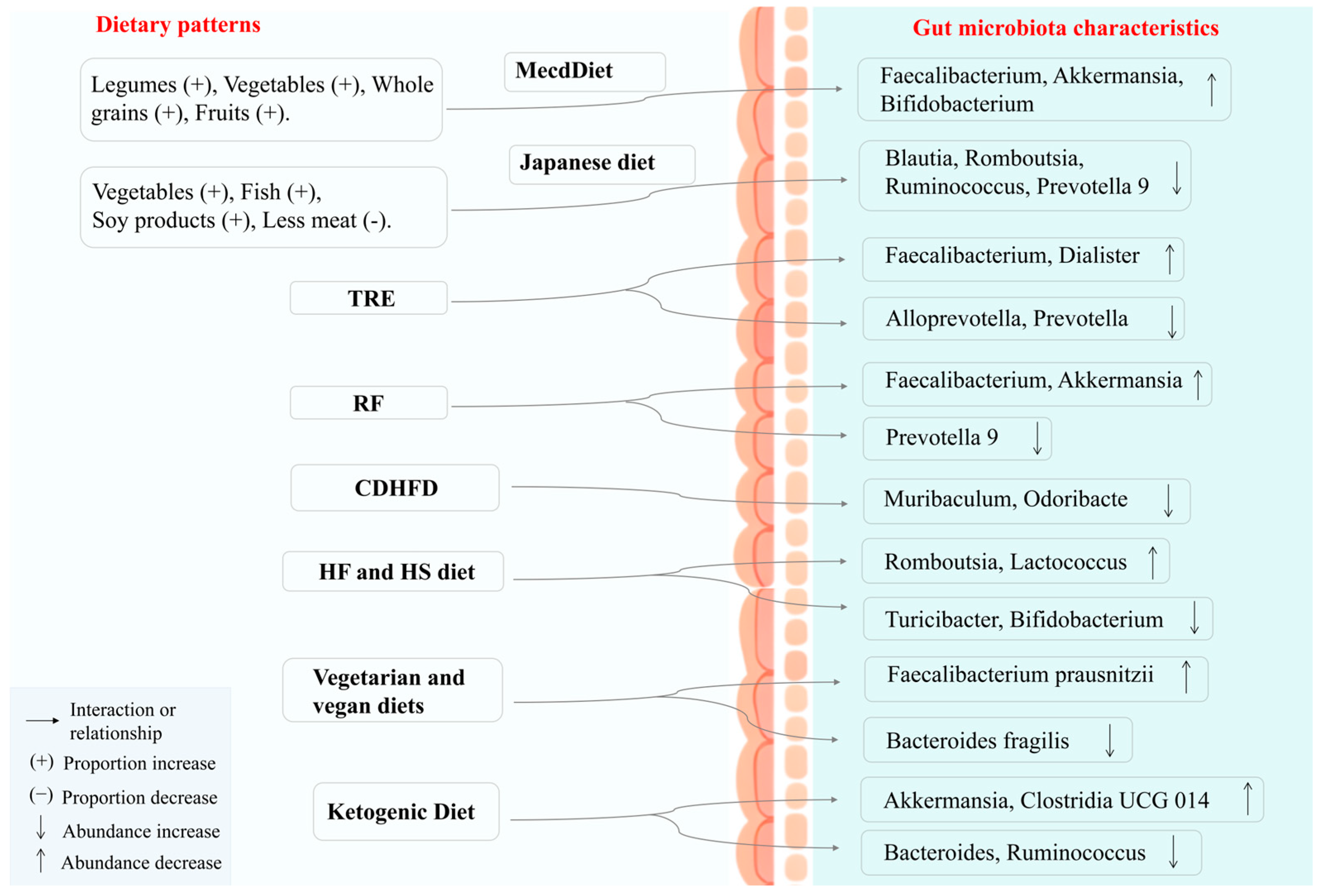 Nutrients 17 02603 g005 Nutrients 17 02603 g005