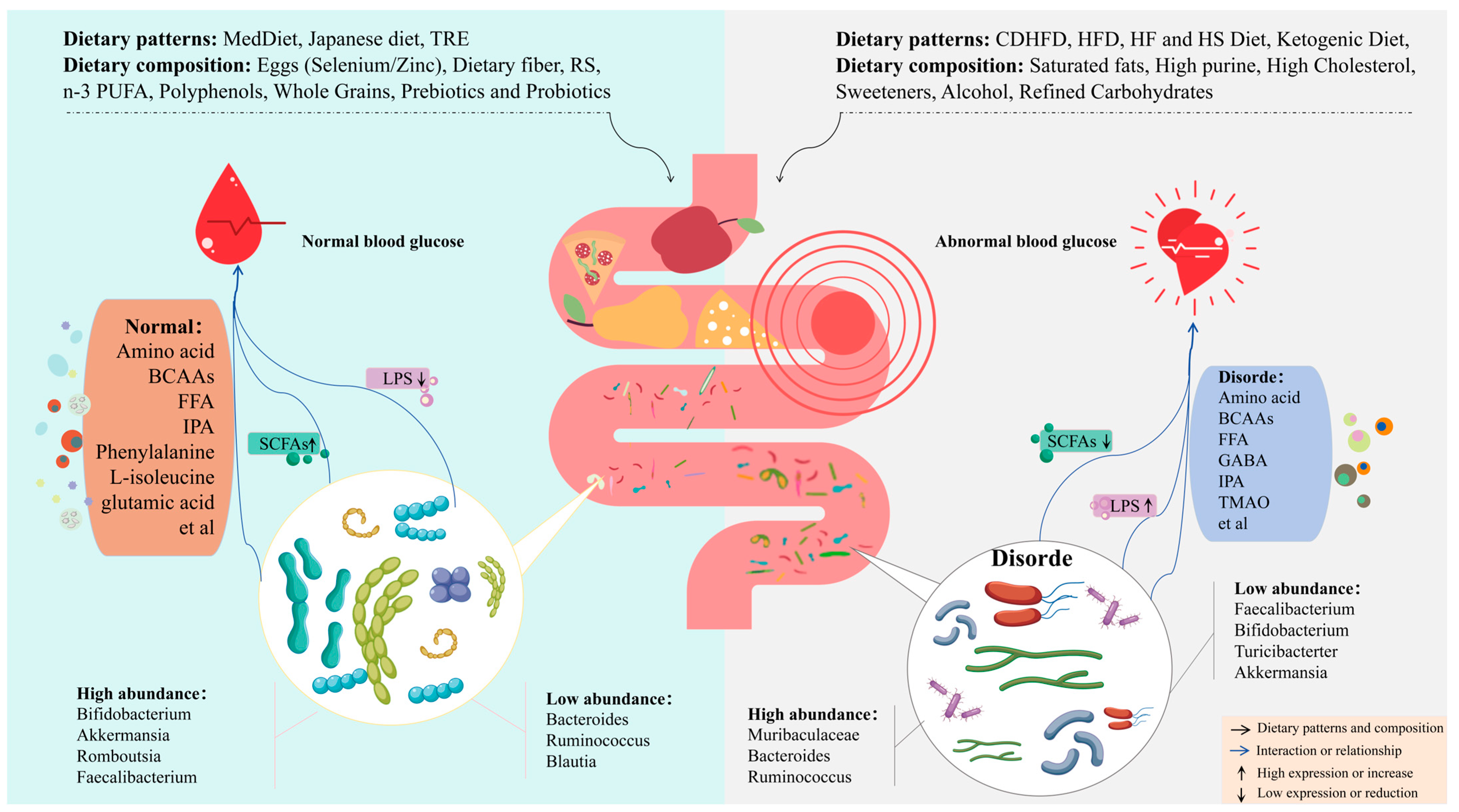 Nutrients 17 02603 g006 Nutrients 17 02603 g006