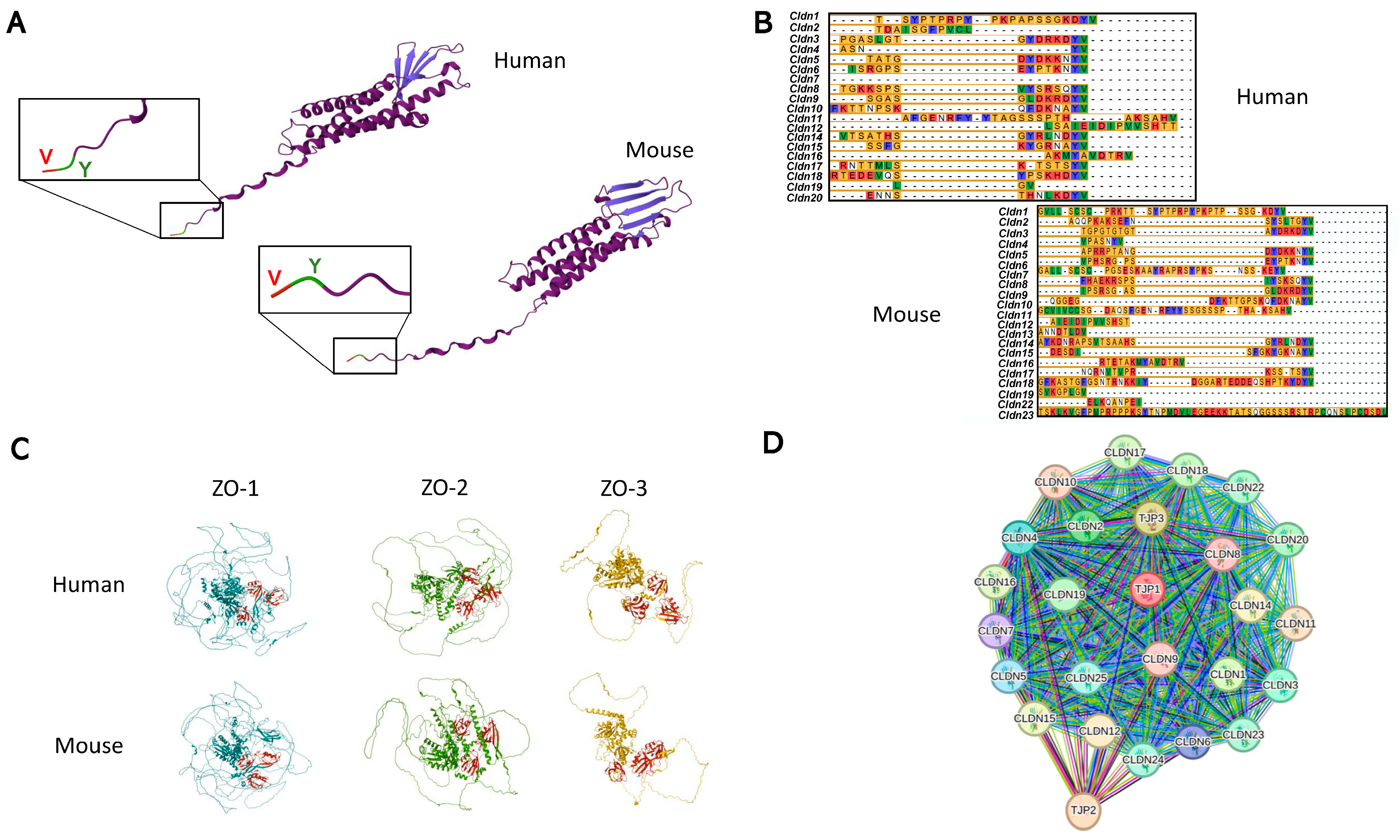 Nutrients 17 02611 g002