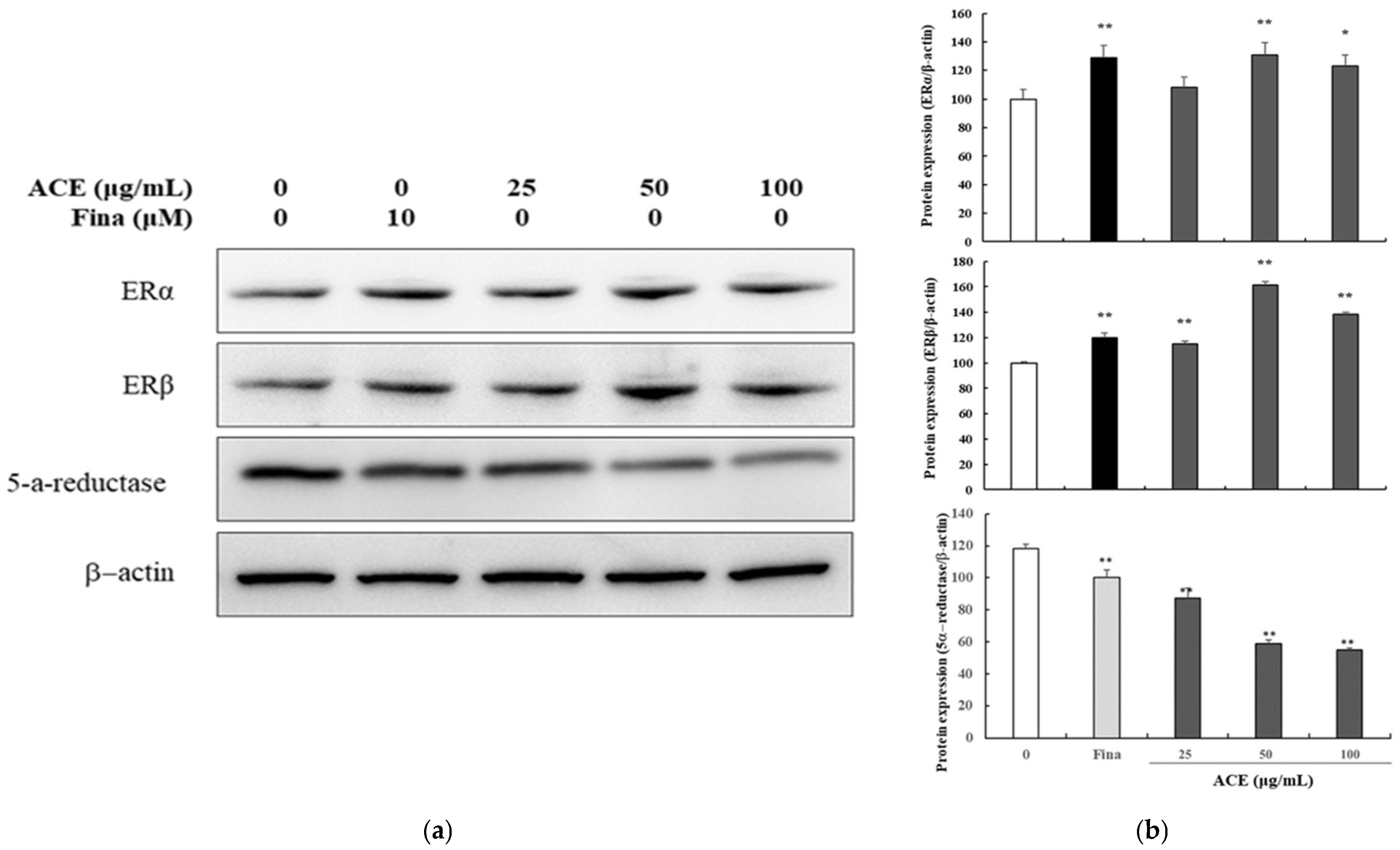 Nutrients 17 02617 g001 Nutrients 17 02617 g001