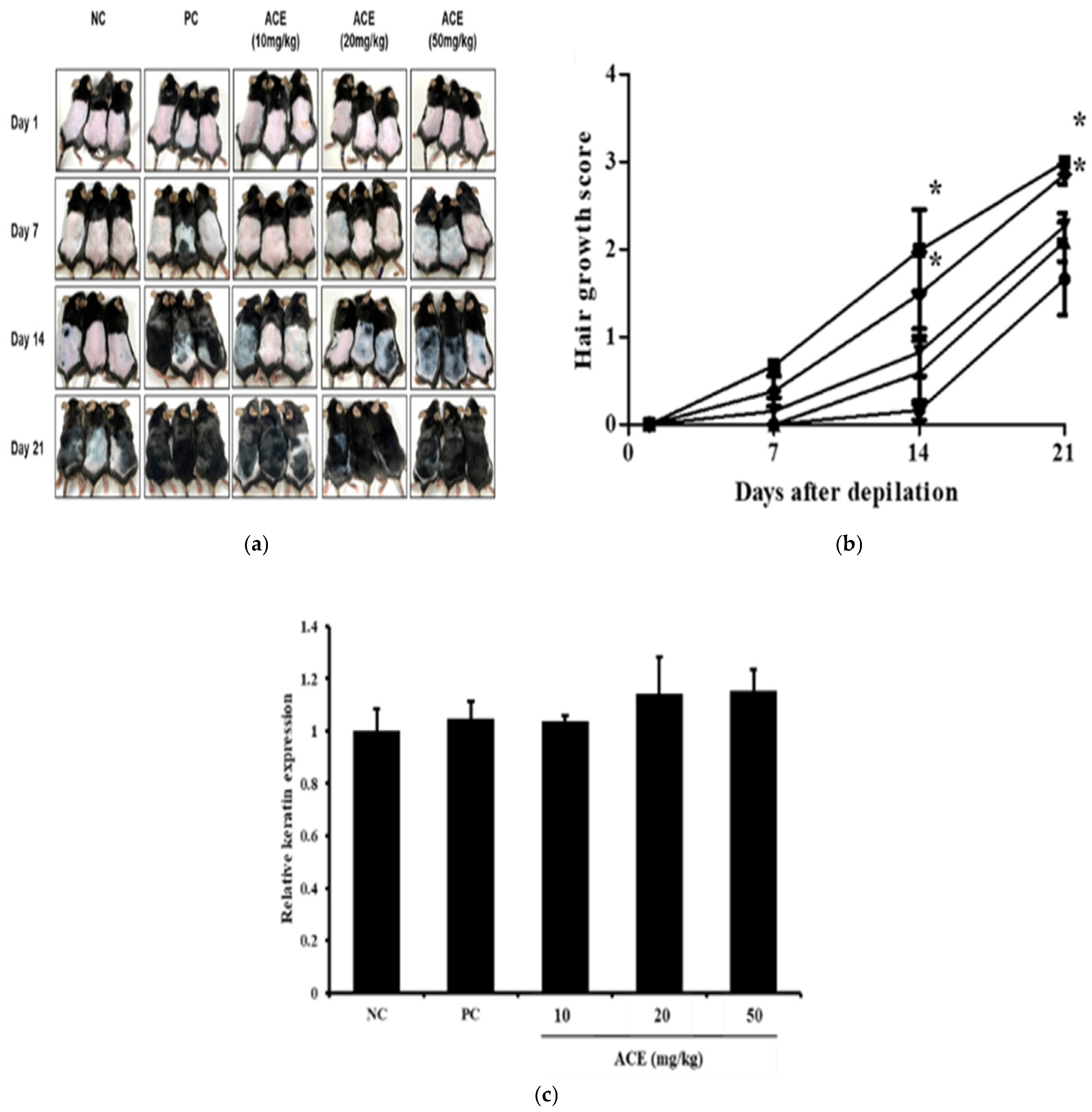 Nutrients 17 02617 g005 Nutrients 17 02617 g005