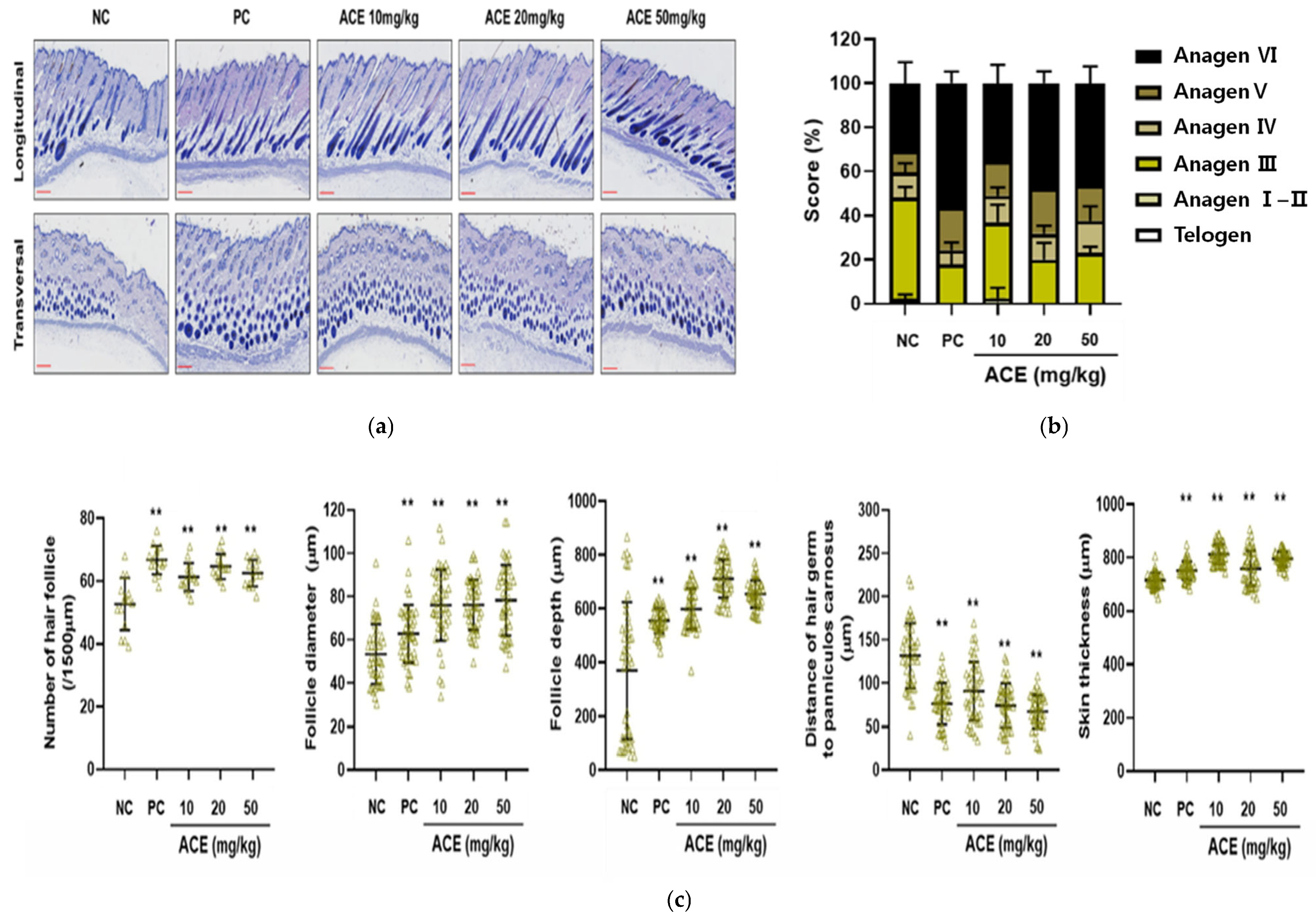 Nutrients 17 02617 g006 Nutrients 17 02617 g006