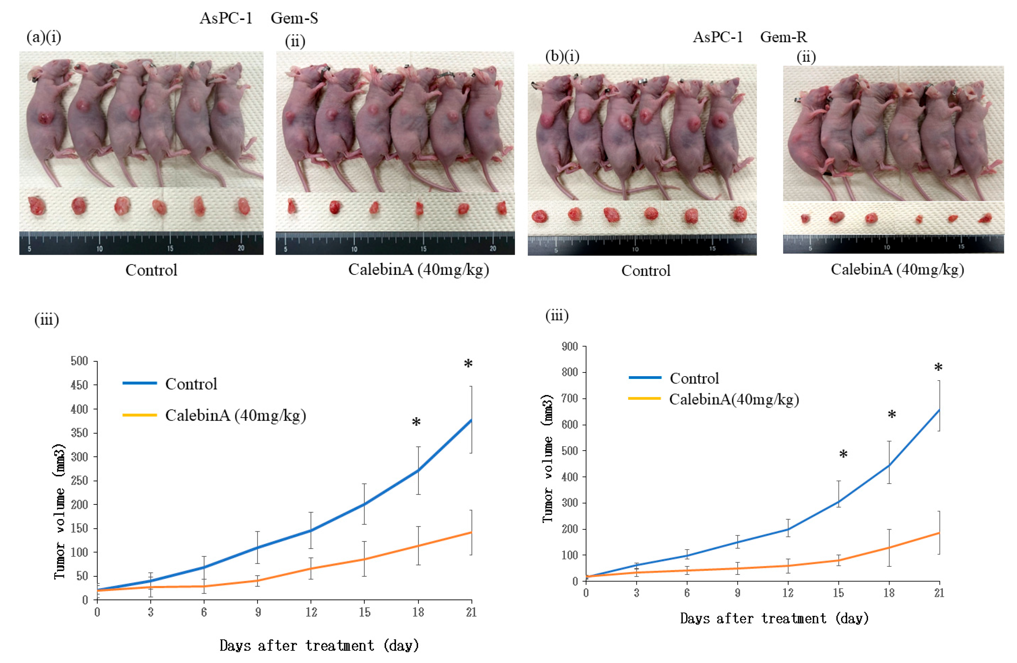 Nutrients 17 02641 g006