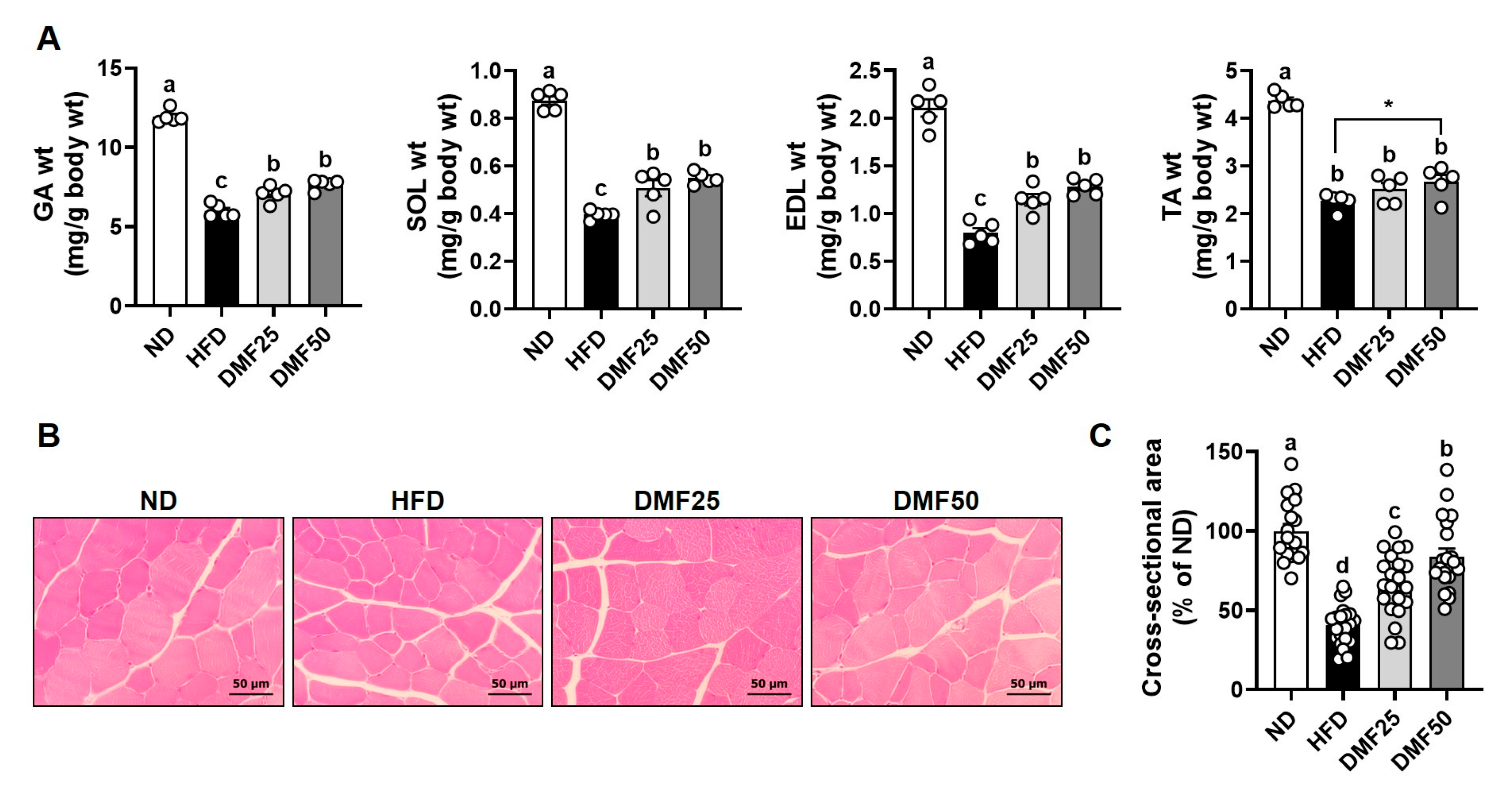 Nutrients 17 02642 g002