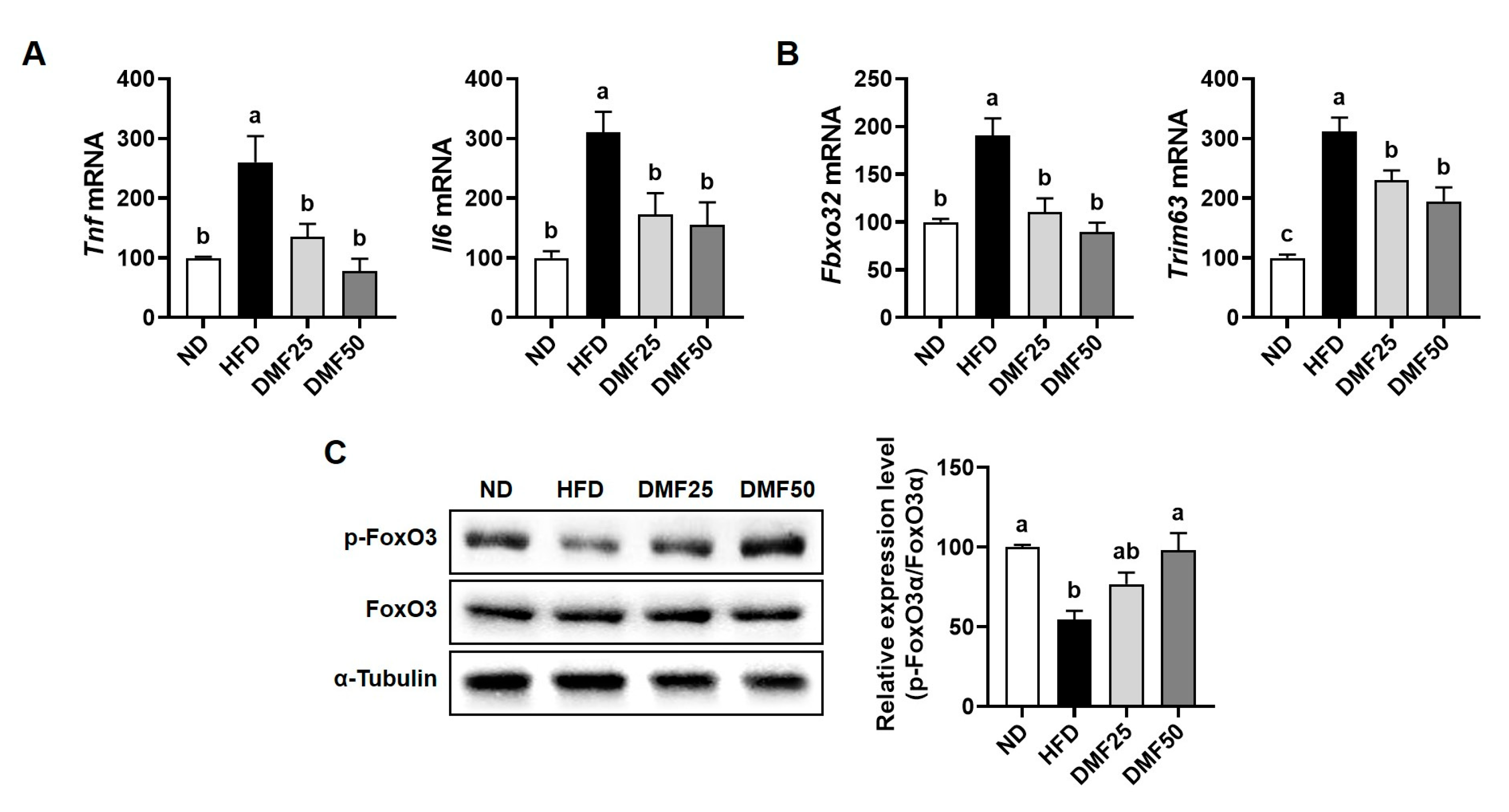 Nutrients 17 02642 g004