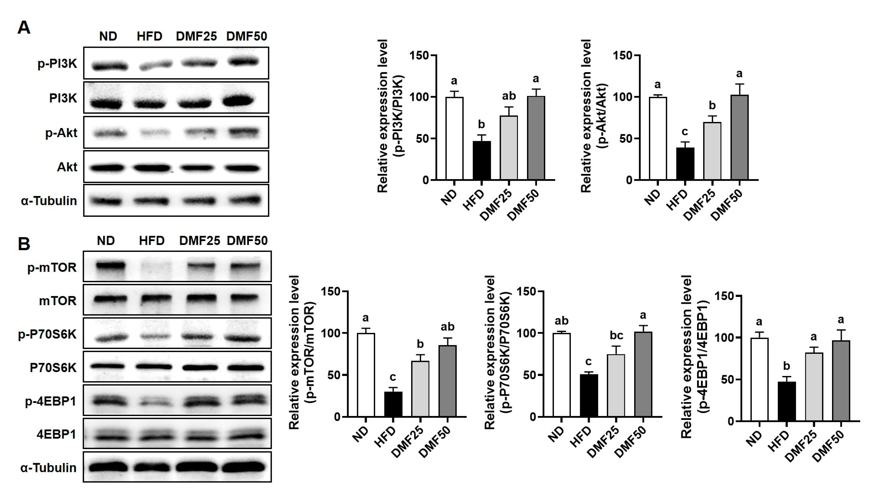 Nutrients 17 02642 g005