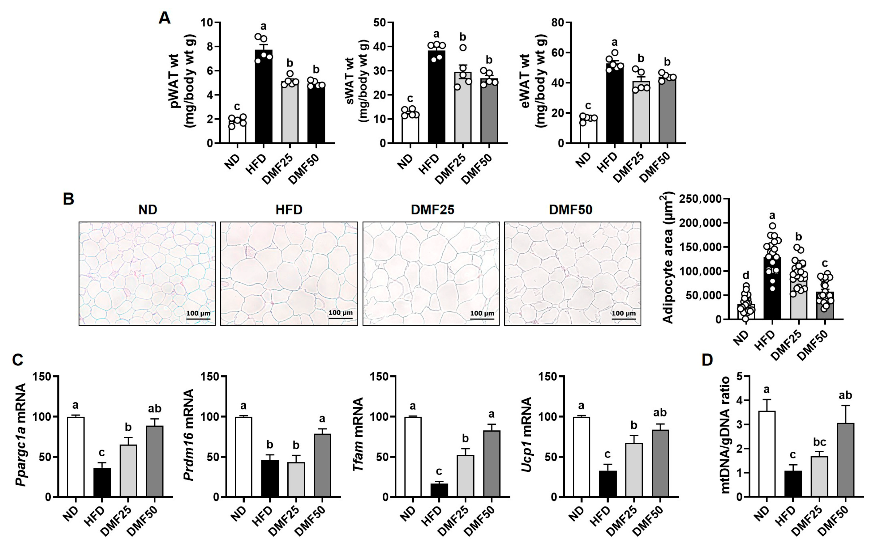 Nutrients 17 02642 g007
