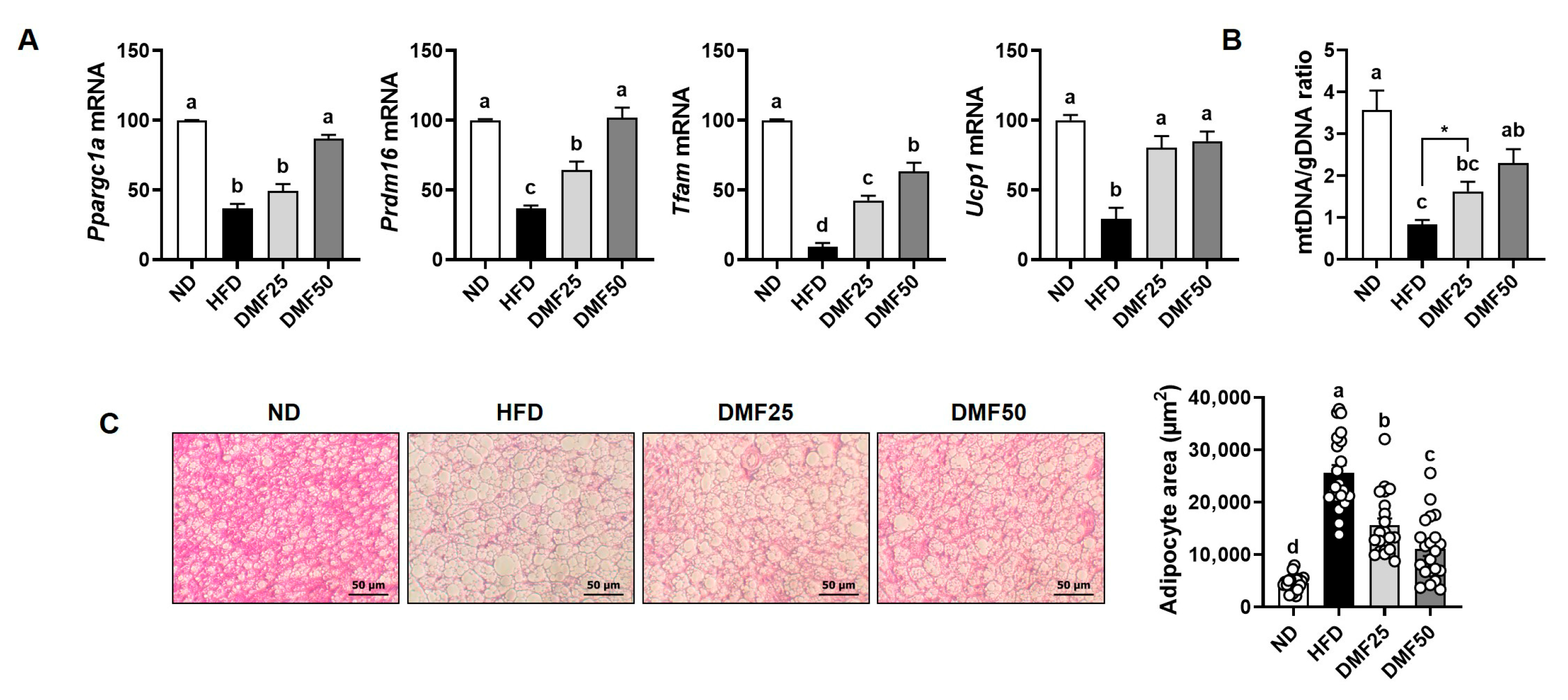 Nutrients 17 02642 g008