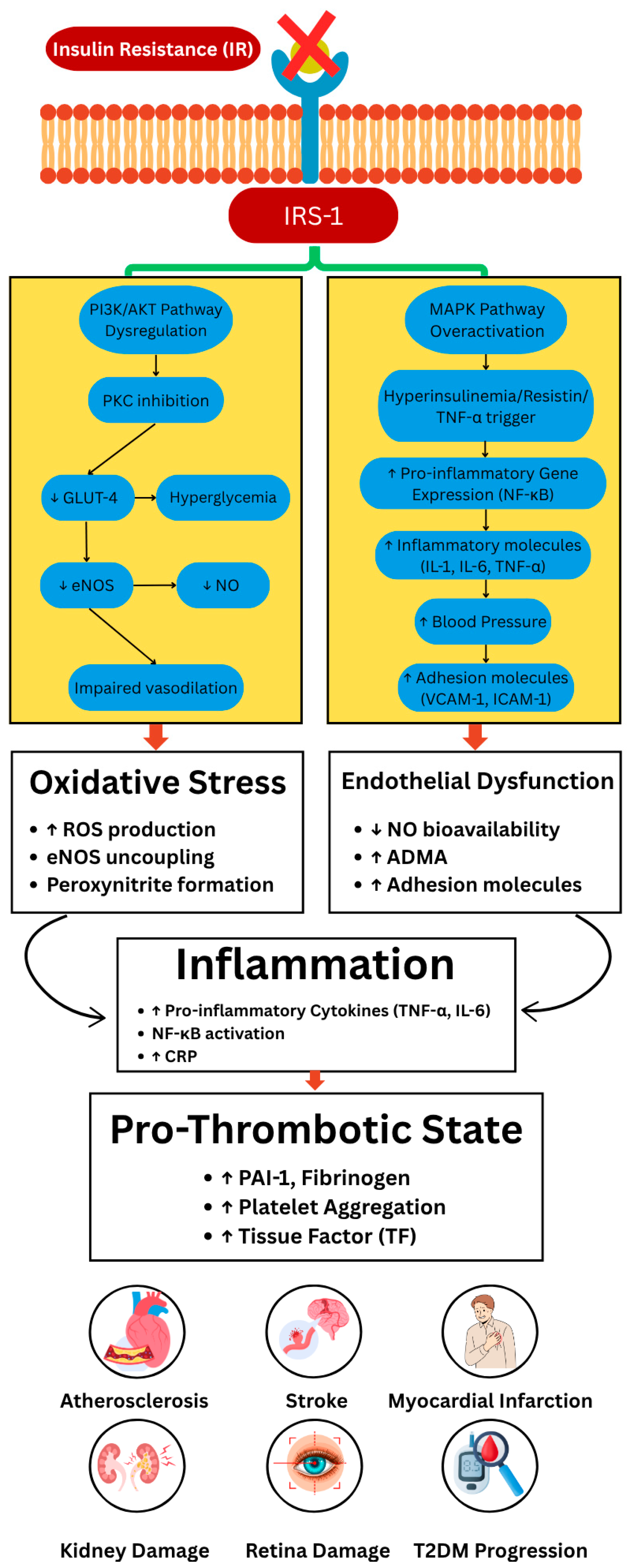 Nutrients 17 02656 g001