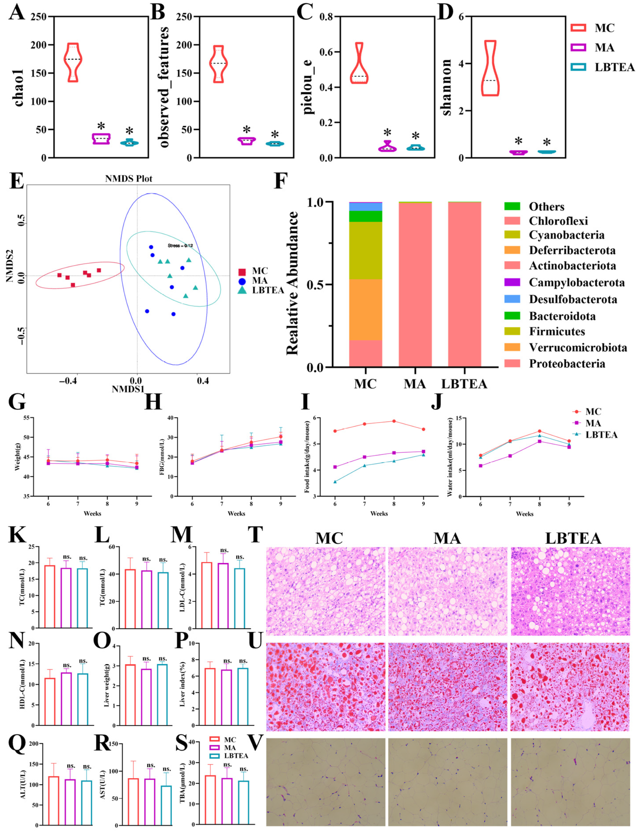 Nutrients 17 02665 g008 Nutrients 17 02665 g008