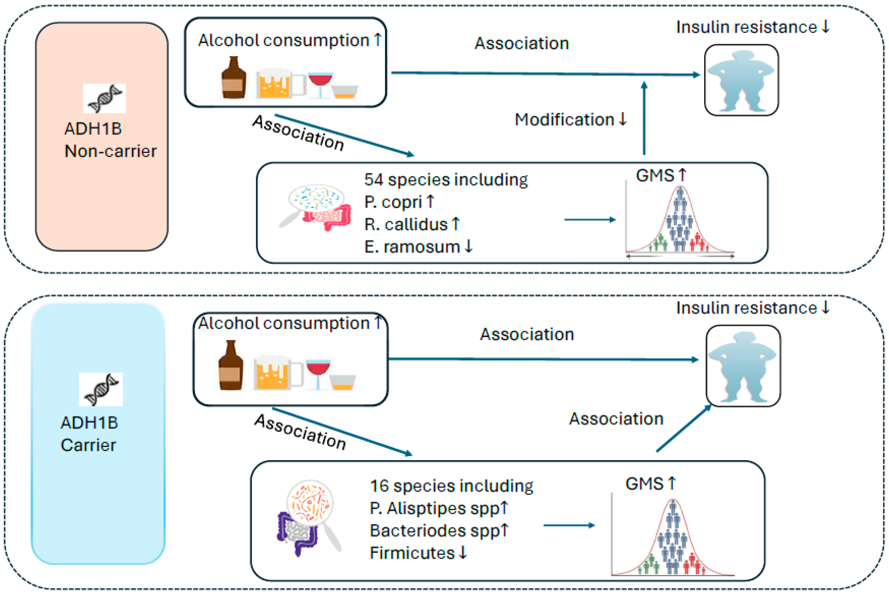 Nutrients 17 02669 g007 Nutrients 17 02669 g007