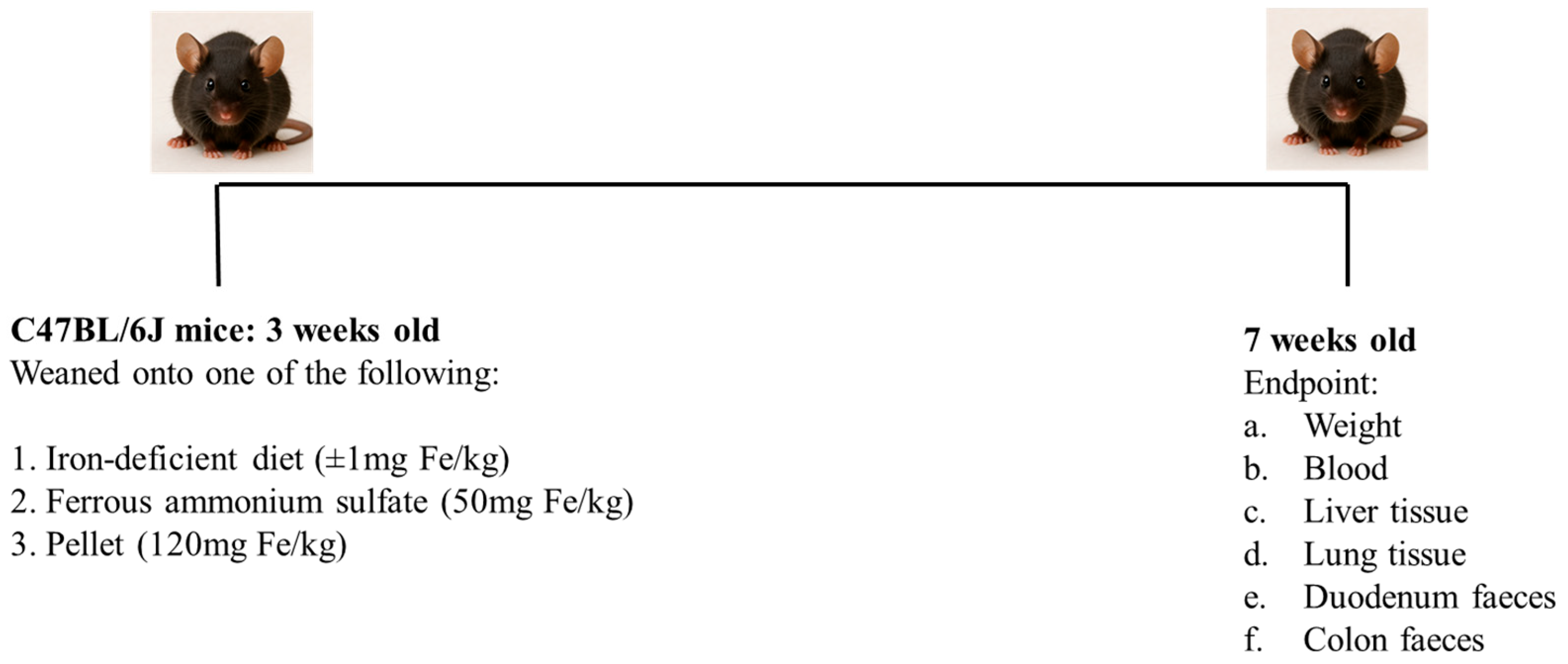 Nutrients 17 02696 sch001 Nutrients 17 02696 sch001