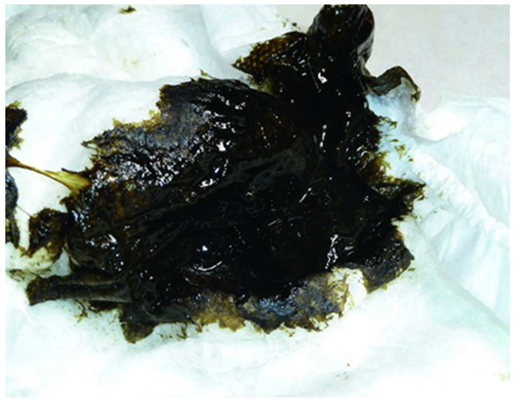 Nutrients 17 02700 g001