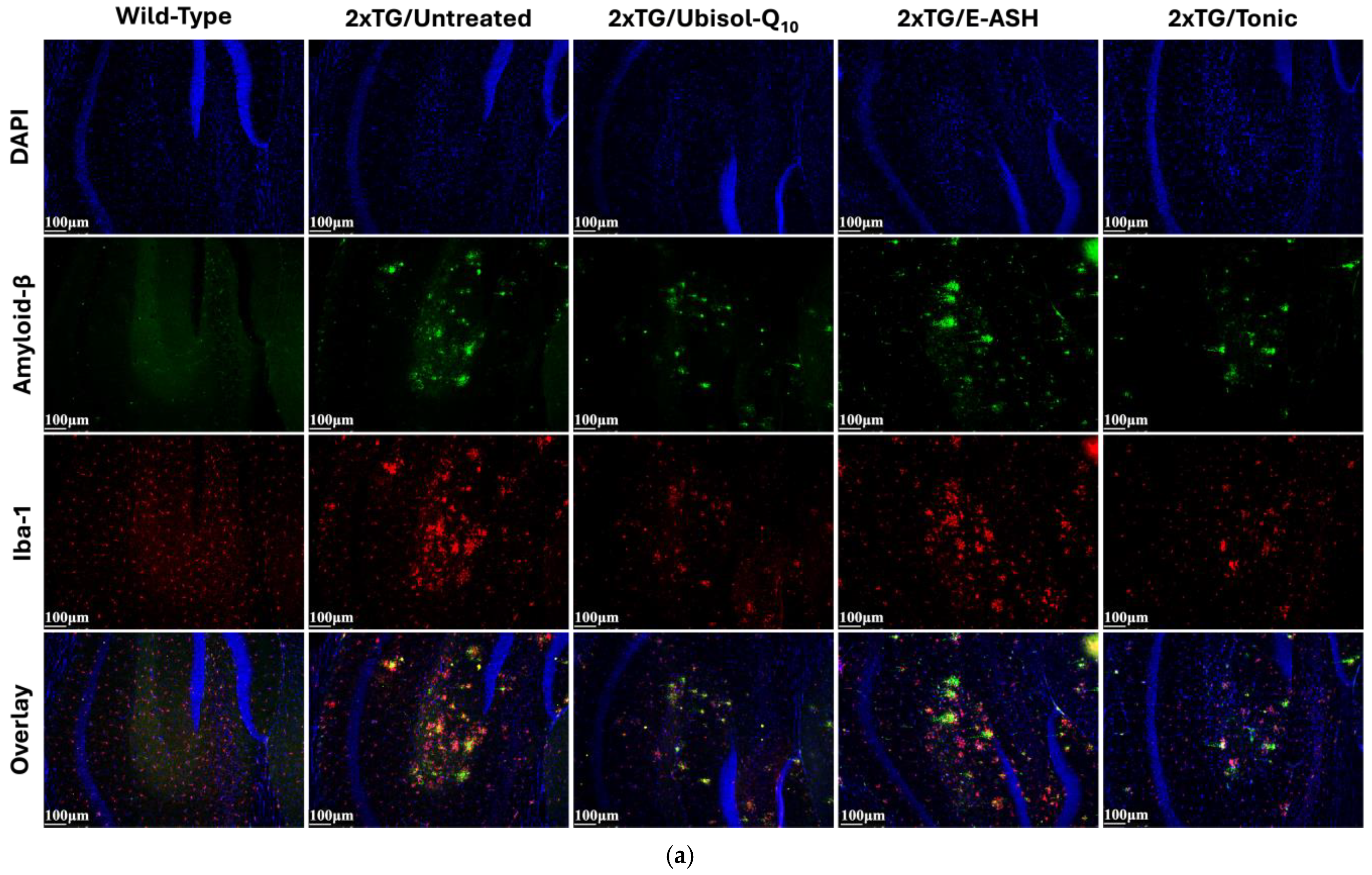 Nutrients 17 02701 g005a