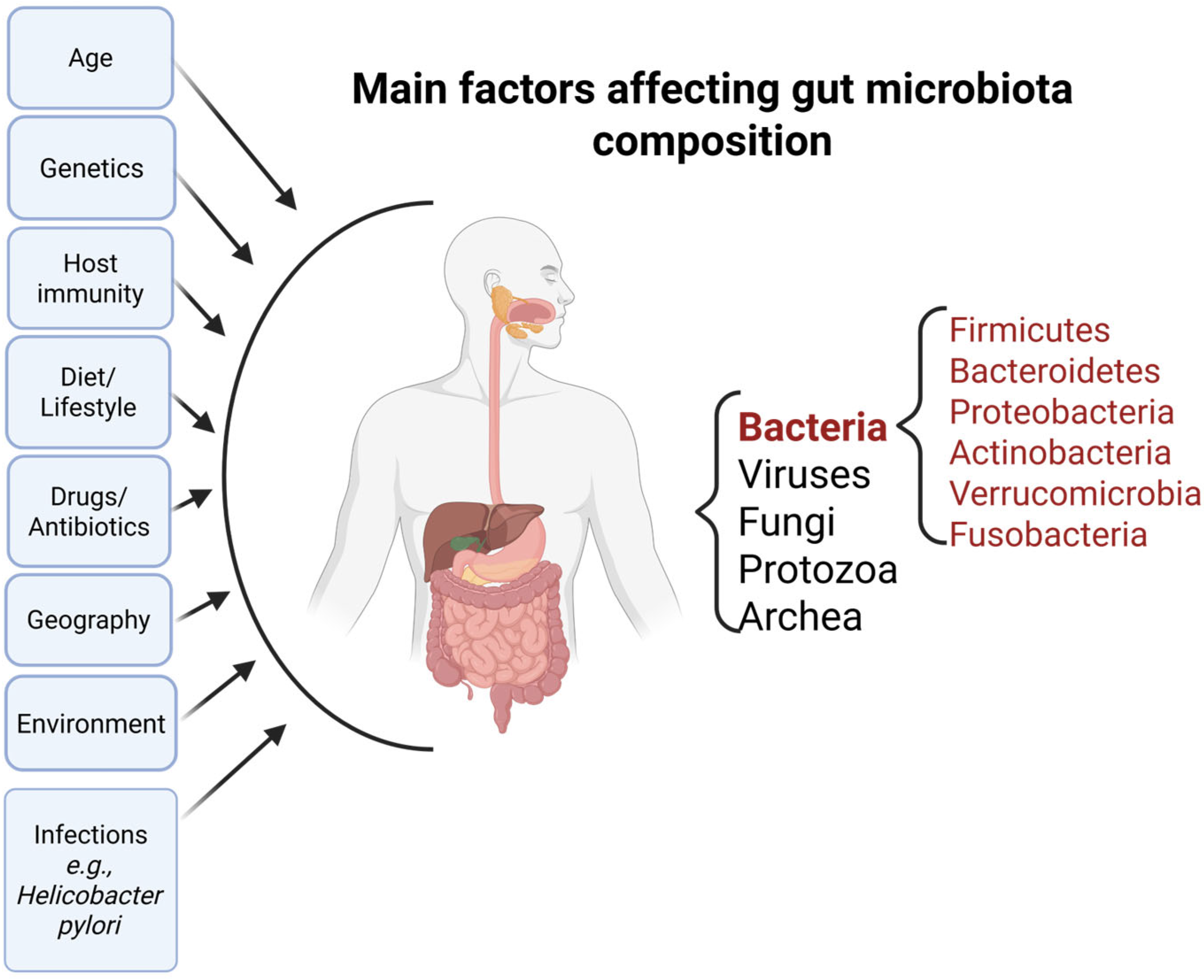 Nutrients 17 02711 g001 Nutrients 17 02711 g001