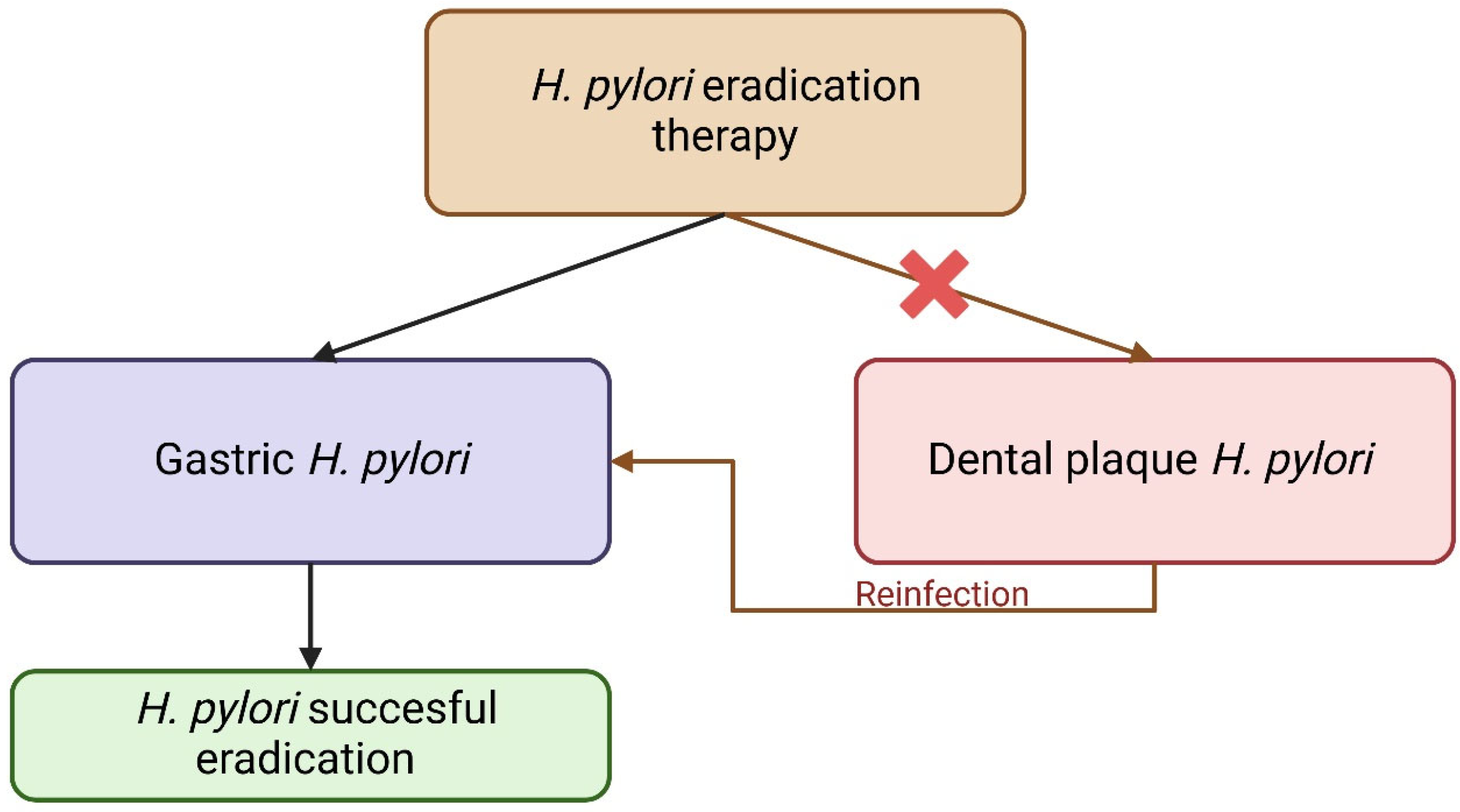 Nutrients 17 02711 g002 Nutrients 17 02711 g002