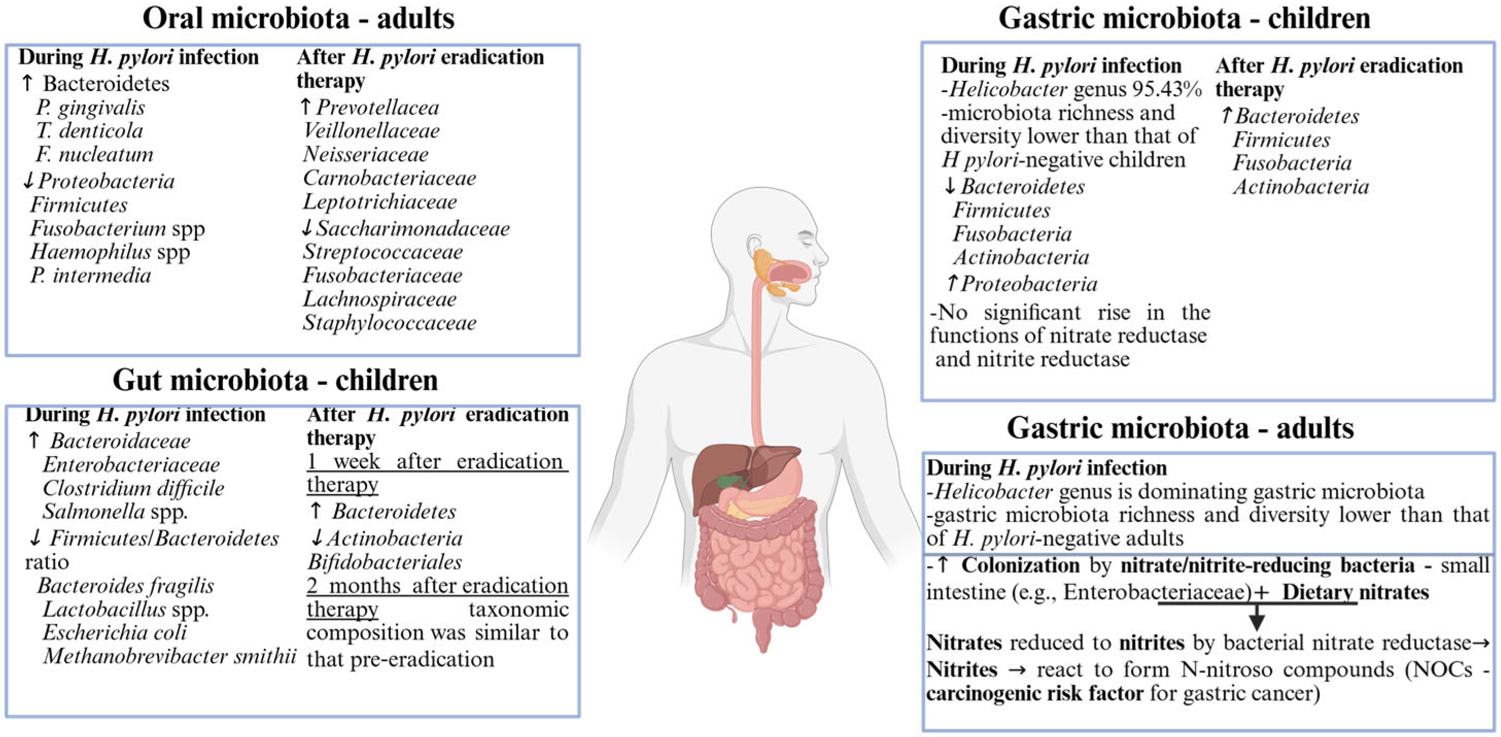 Nutrients 17 02711 g003 Nutrients 17 02711 g003