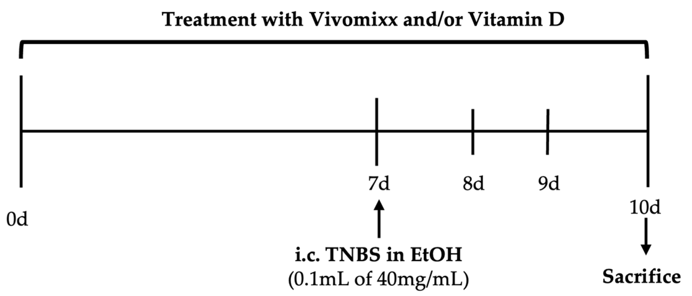 Nutrients 17 02719 g001