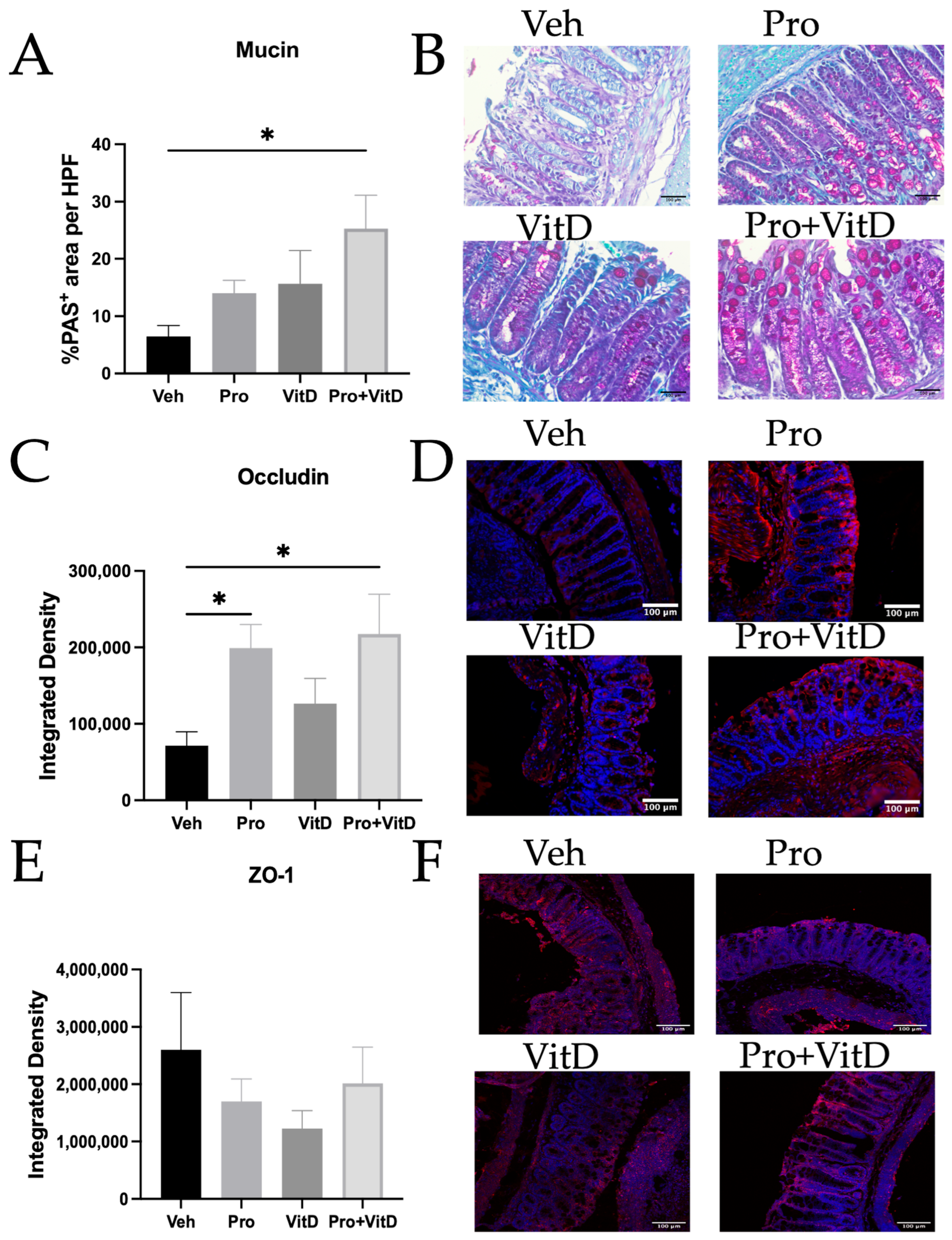 Nutrients 17 02719 g006