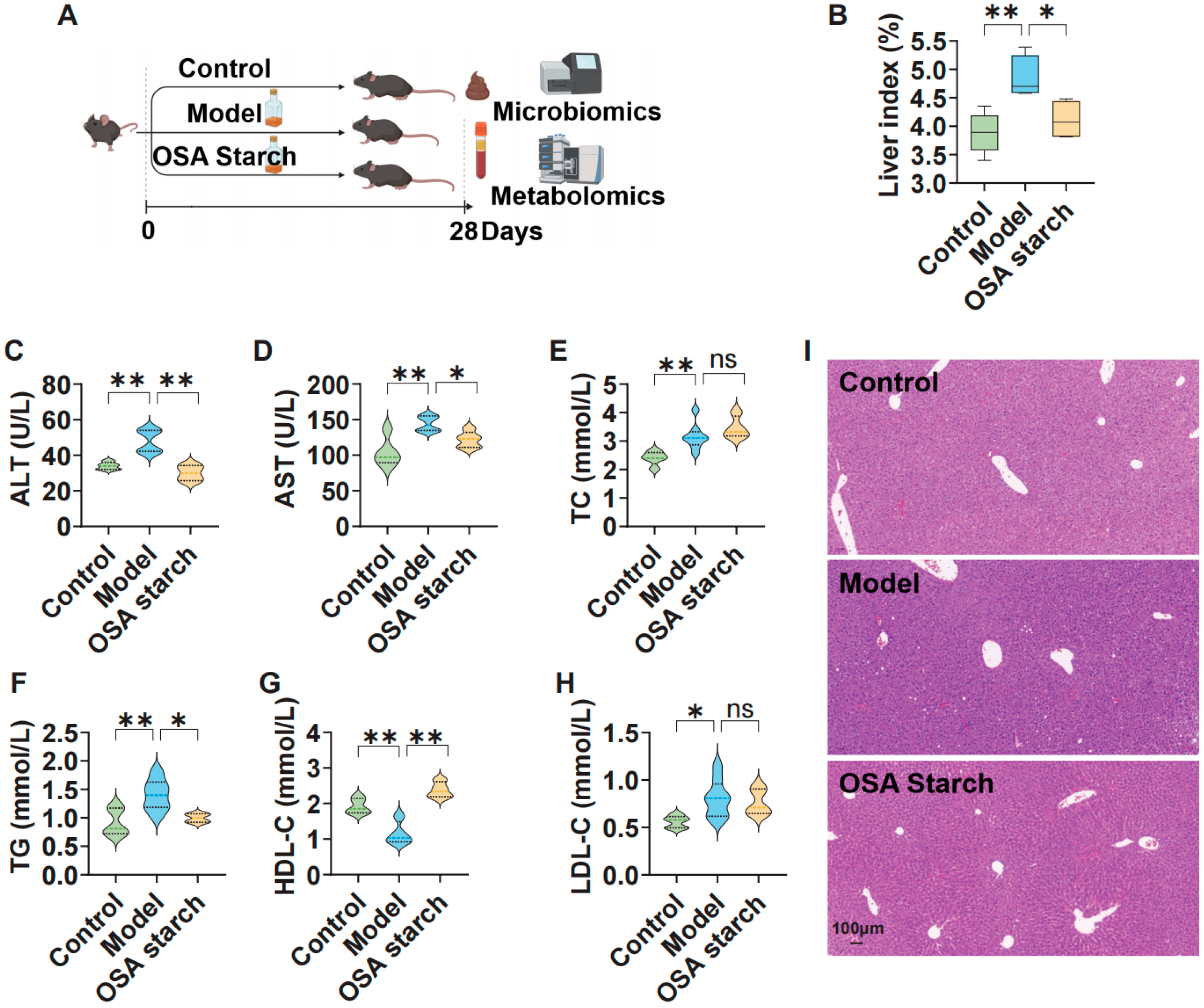 Nutrients 17 02779 g001 Nutrients 17 02779 g001