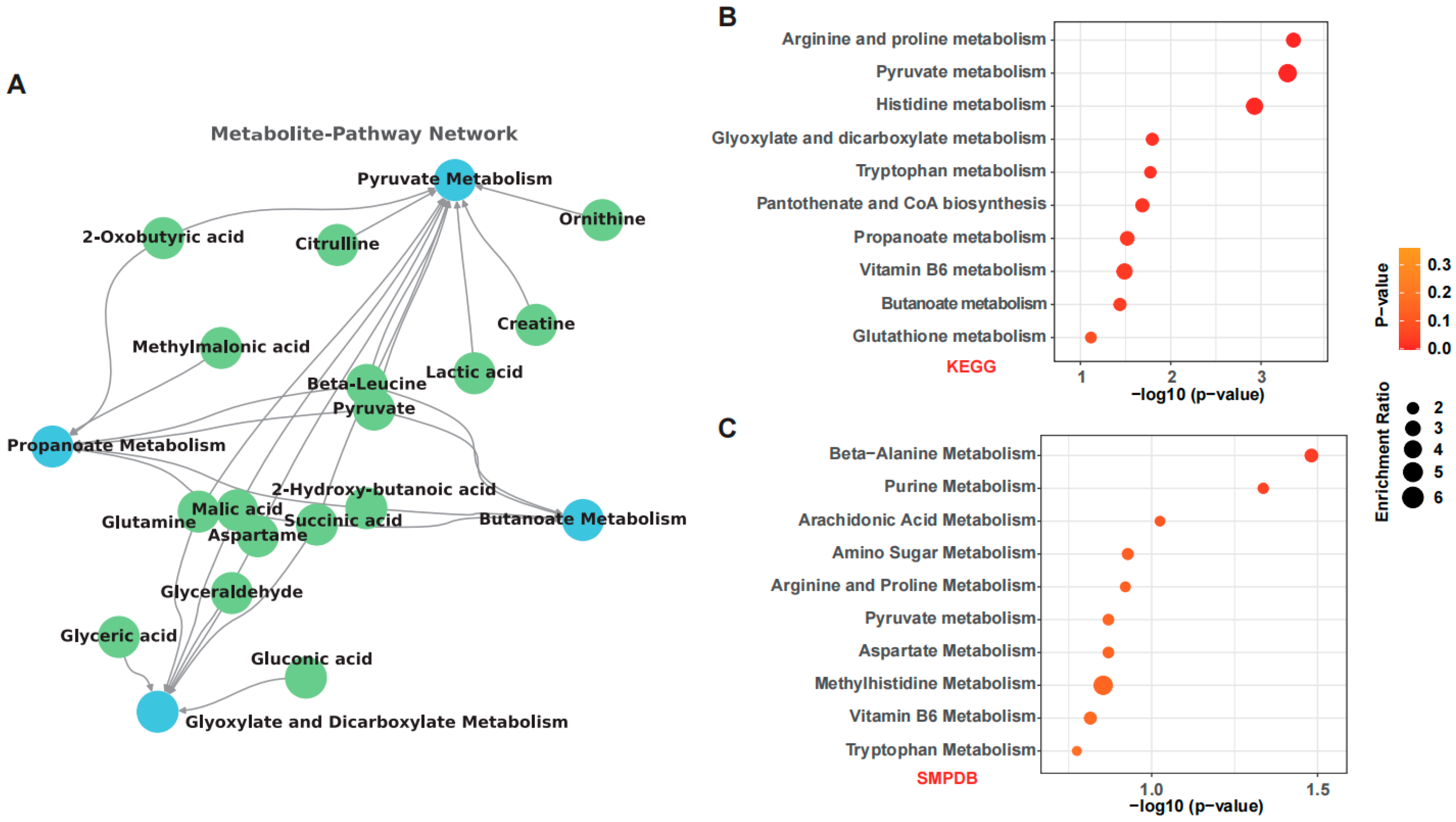 Nutrients 17 02779 g005 Nutrients 17 02779 g005