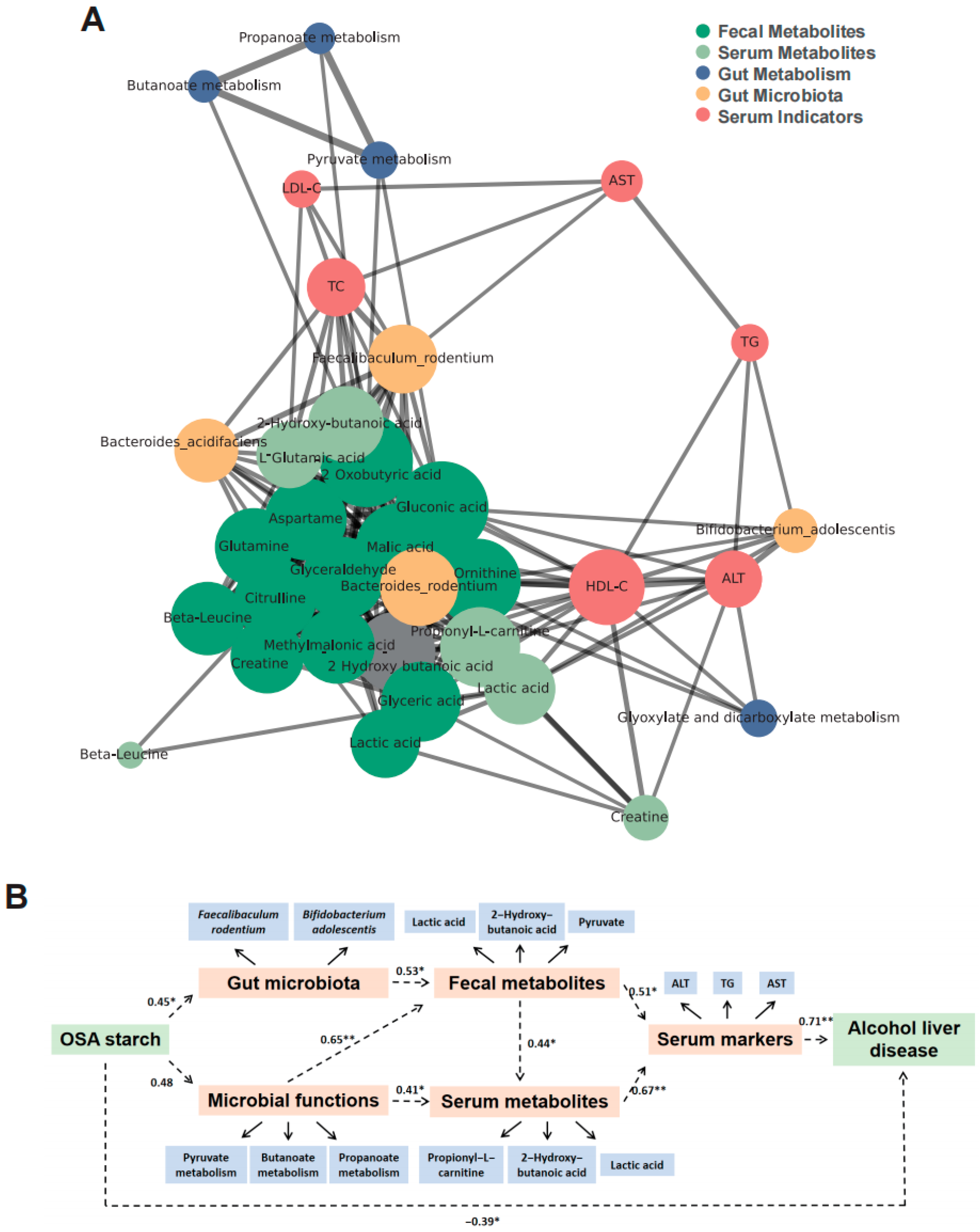Nutrients 17 02779 g007 Nutrients 17 02779 g007