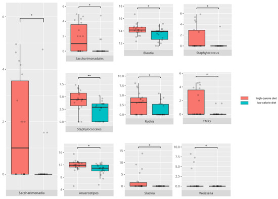 Gut Microbiota and Autism Spectrum Disorders: Neurodevelopmental