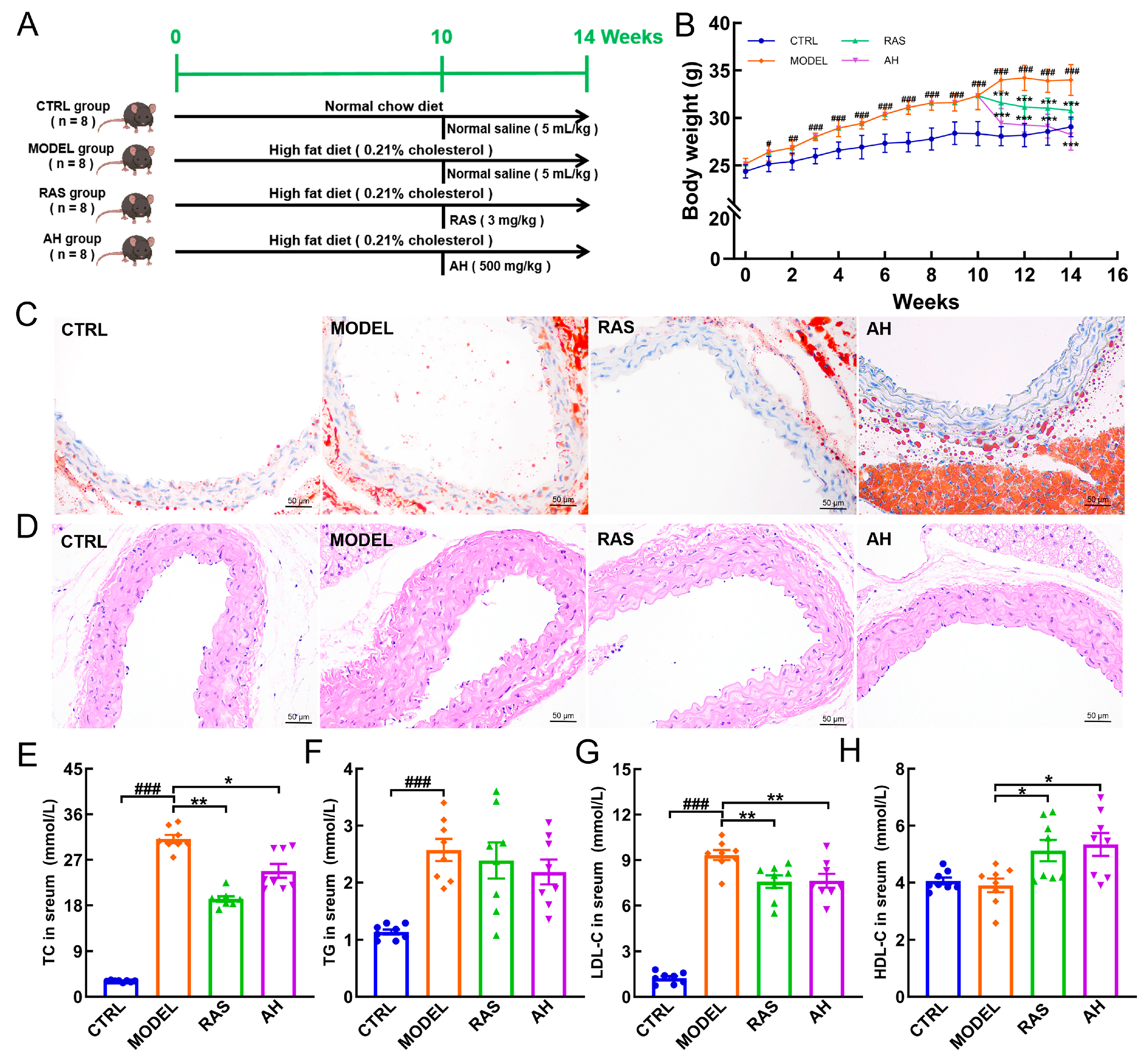 Nutrients 17 02799 g001