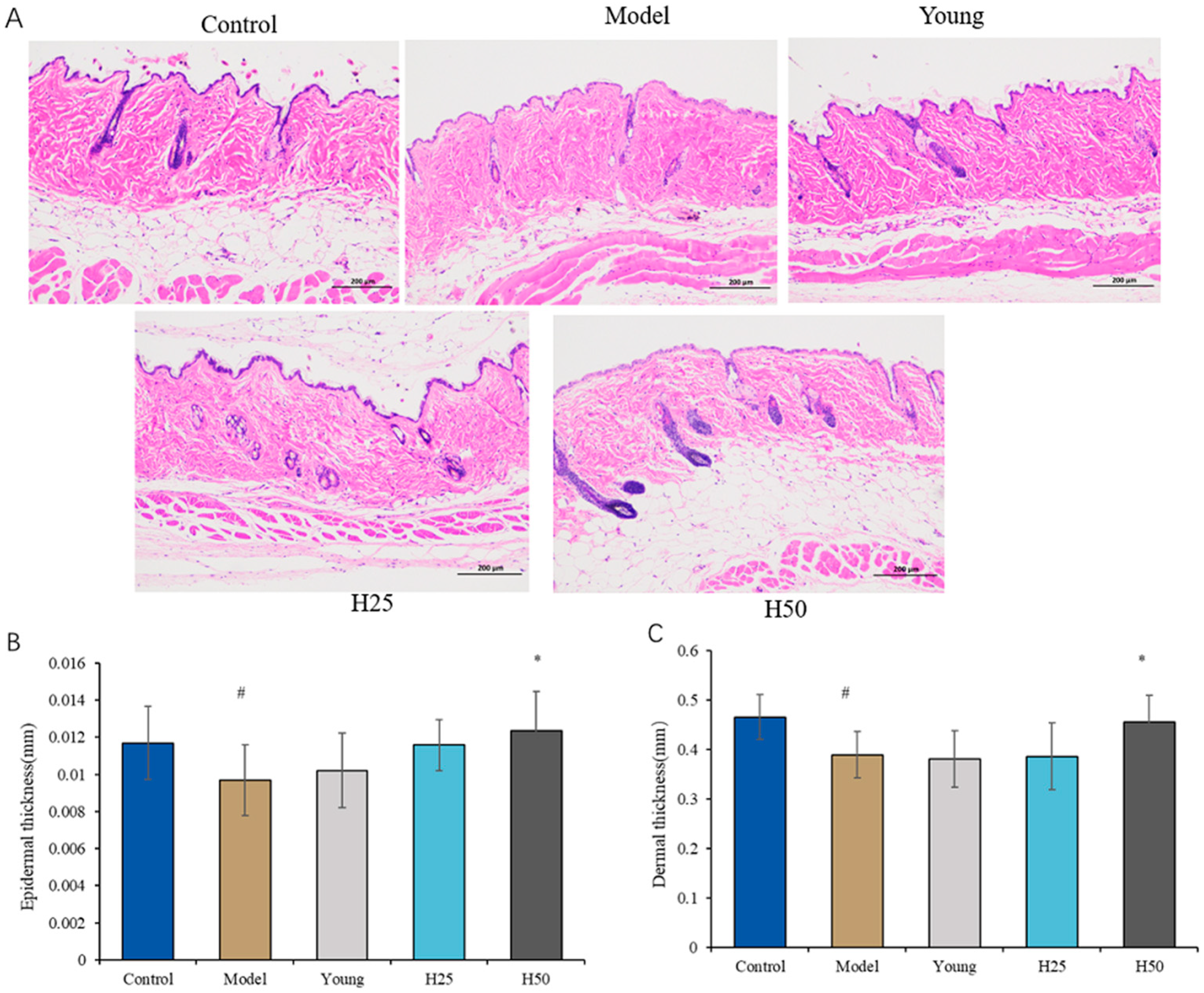 Nutrients 17 02810 g003 Nutrients 17 02810 g003