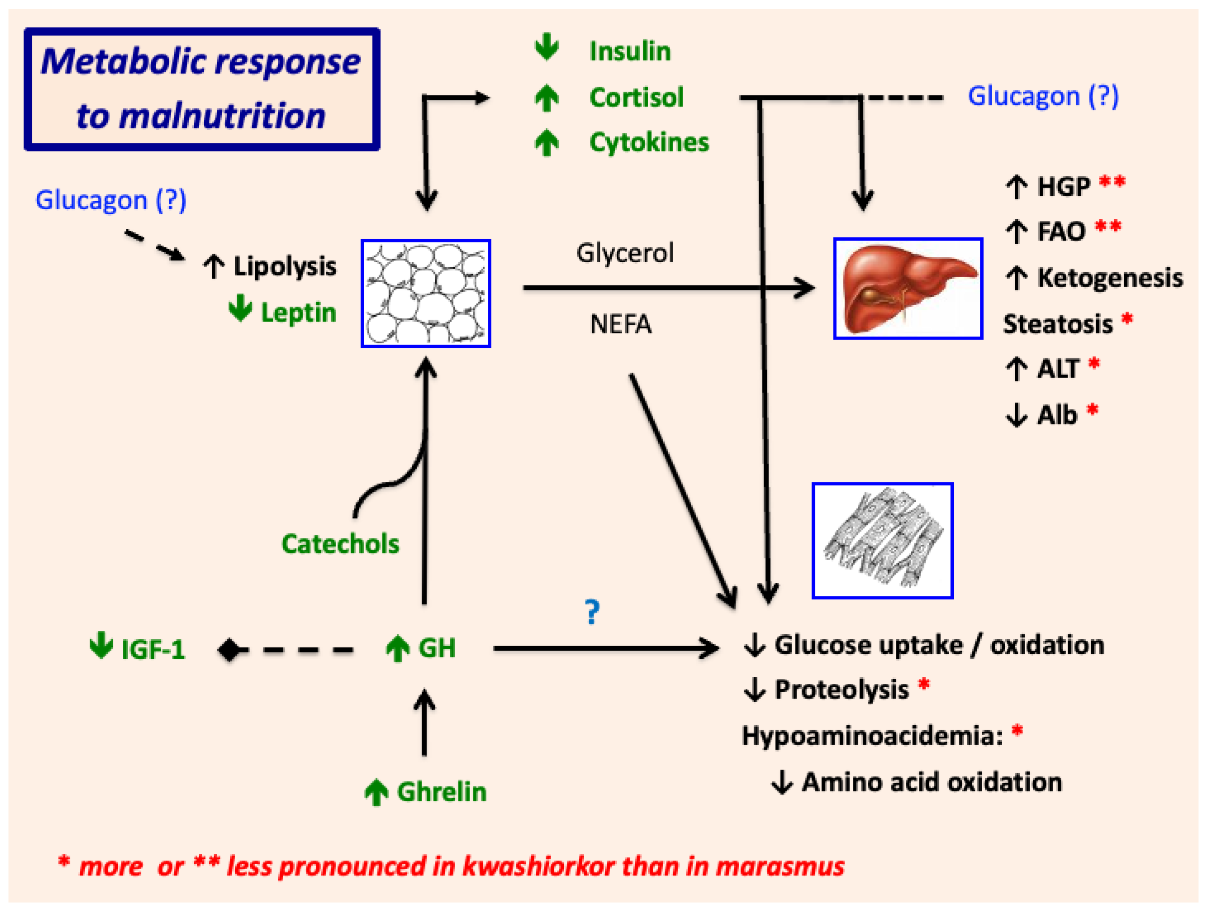 Nutrients 17 02864 g007