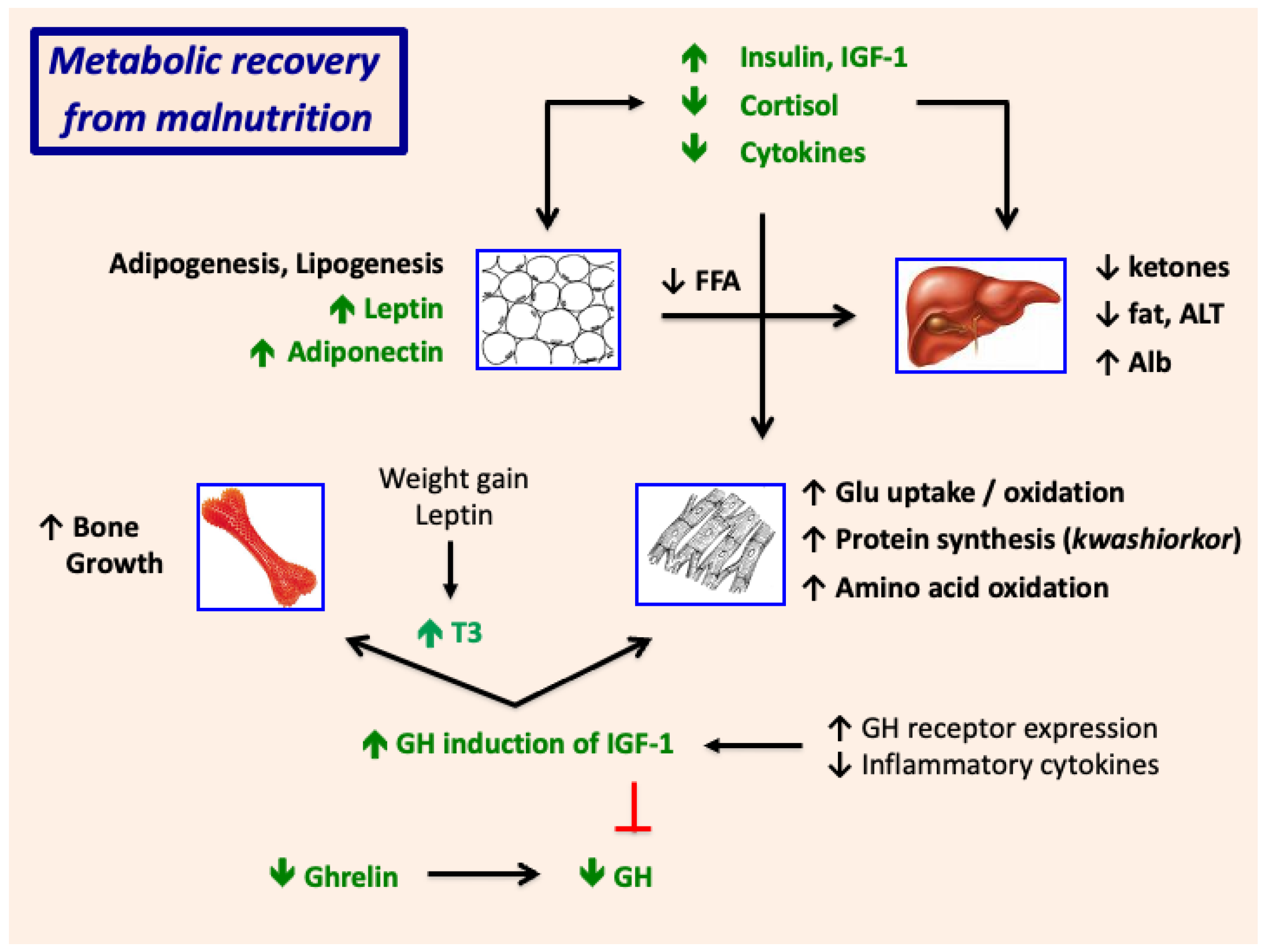 Nutrients 17 02864 g008