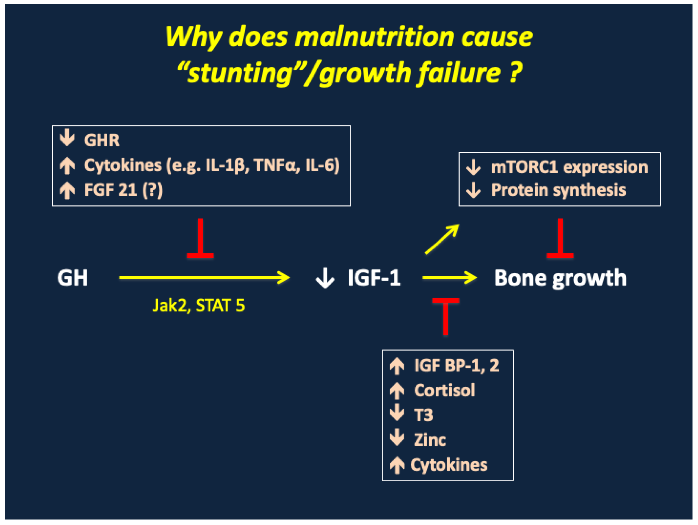 Nutrients 17 02864 g009