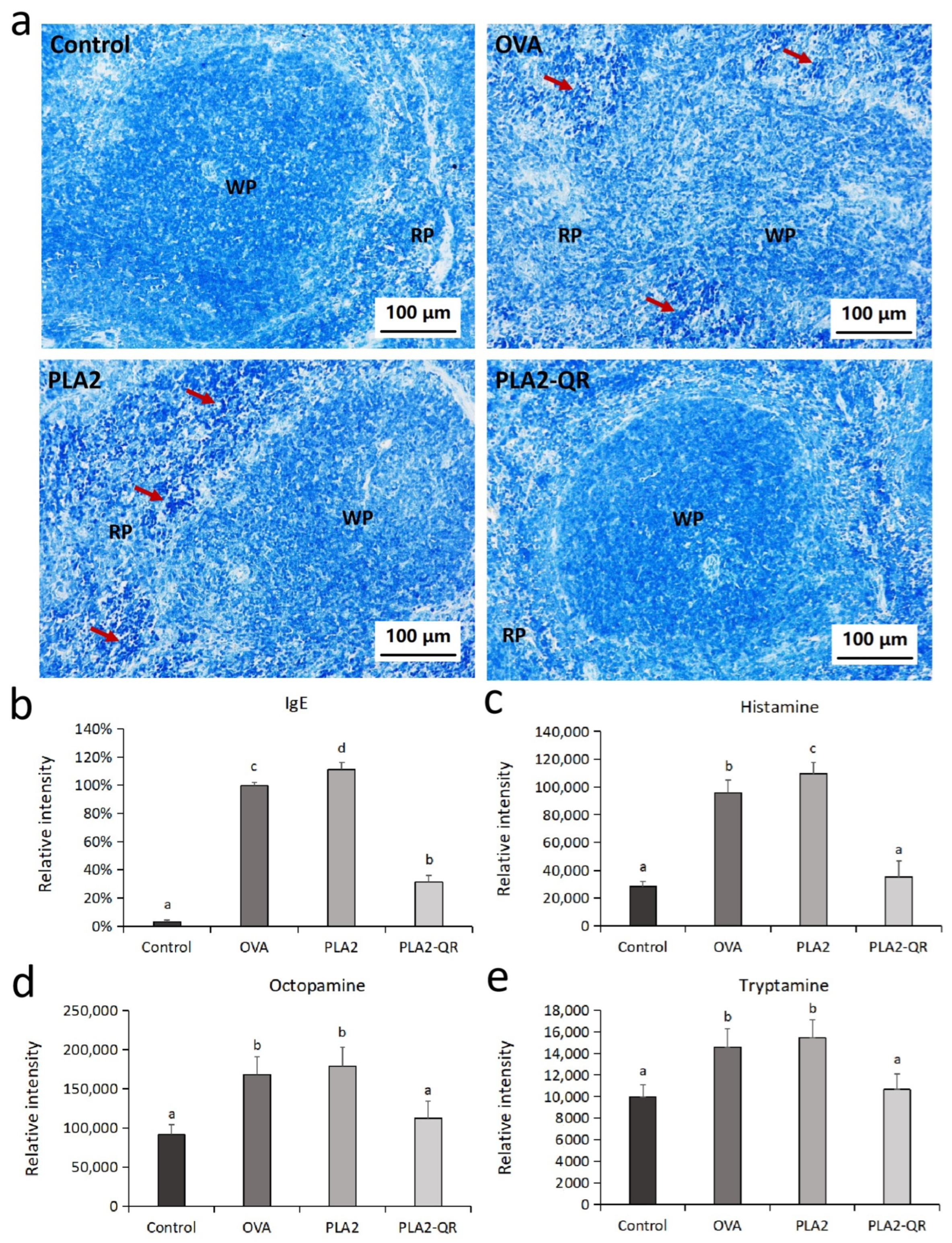 Nutrients 17 02872 g005
