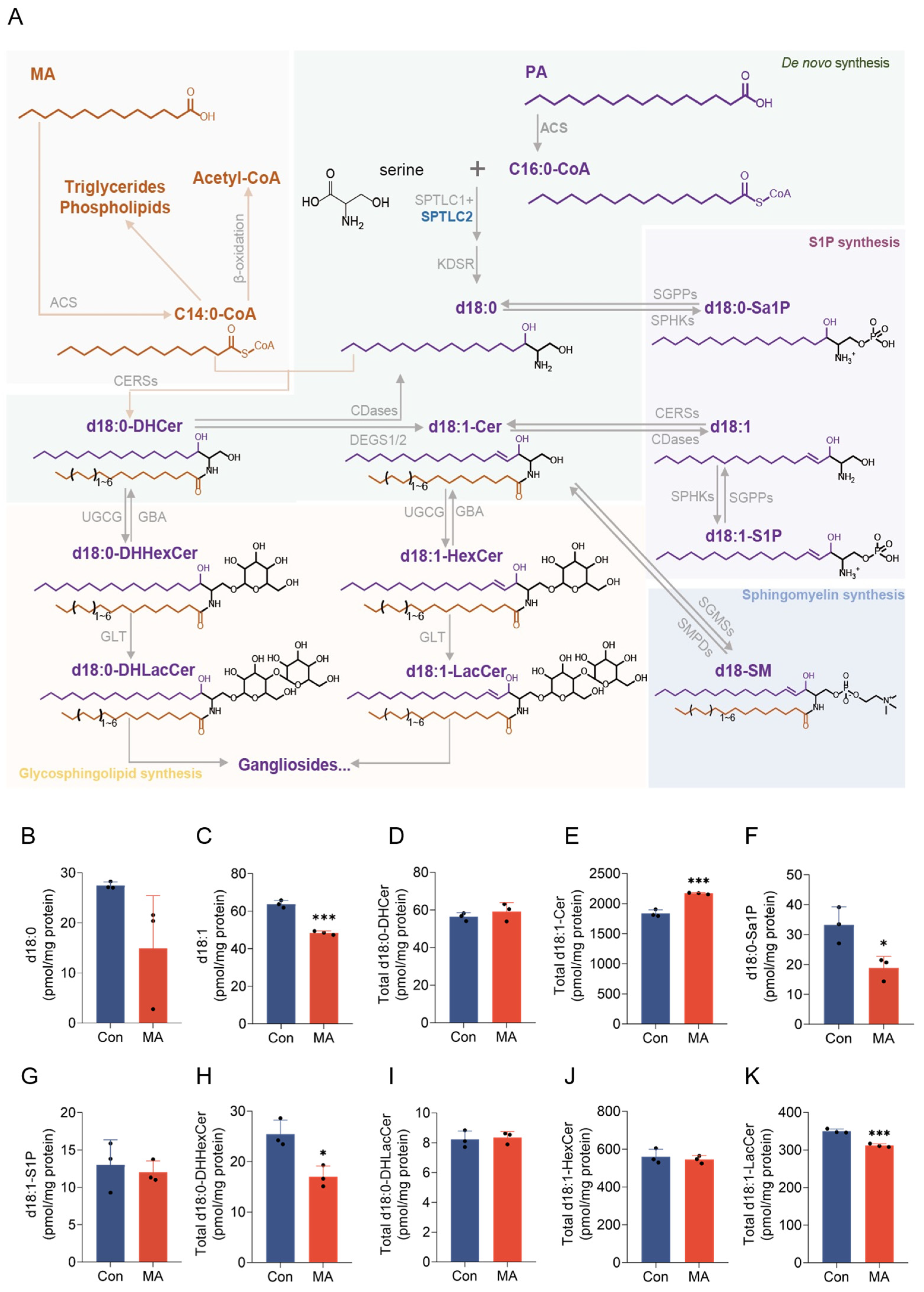 Nutrients 17 02881 g001 Nutrients 17 02881 g001