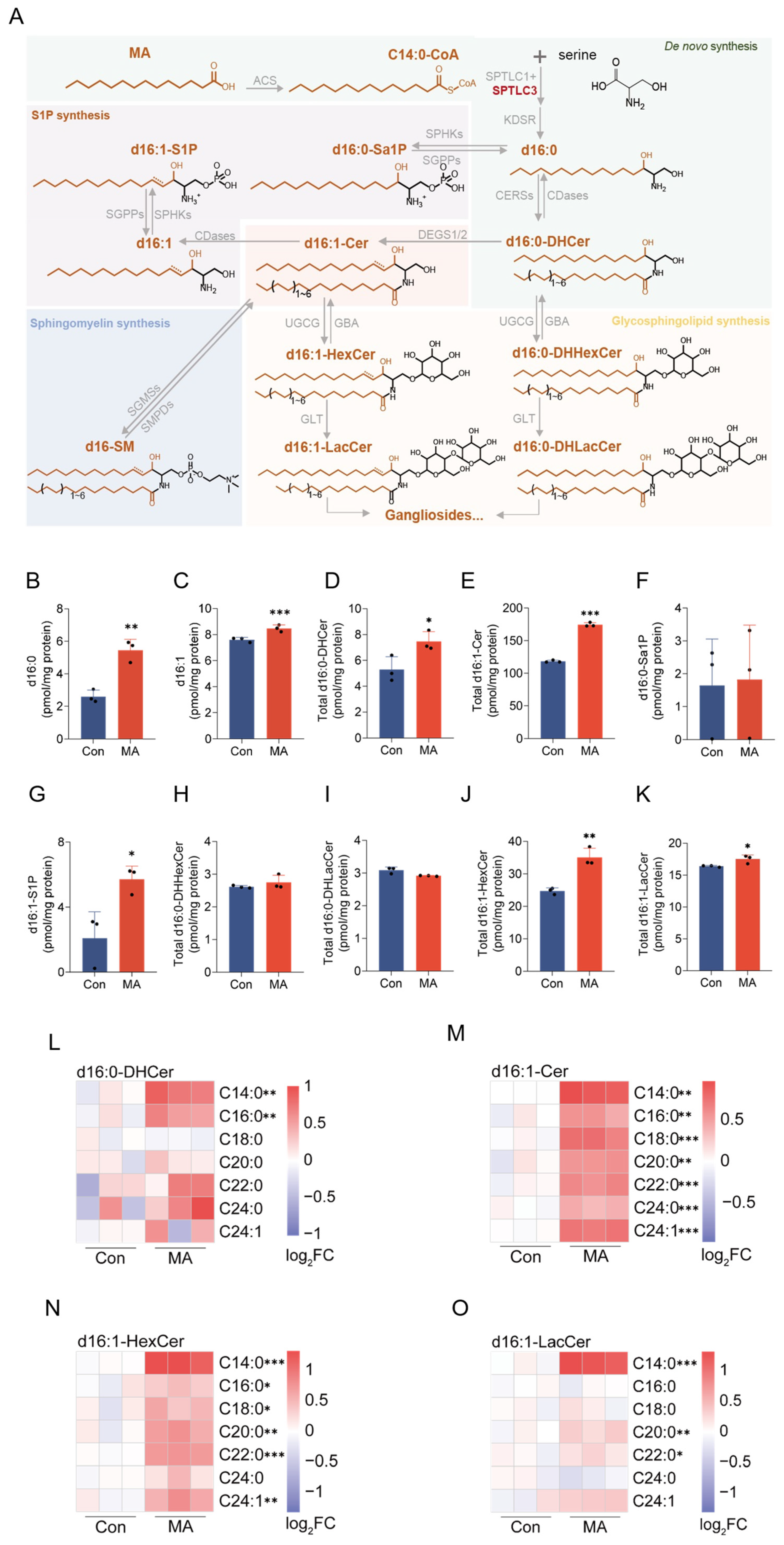 Nutrients 17 02881 g004 Nutrients 17 02881 g004